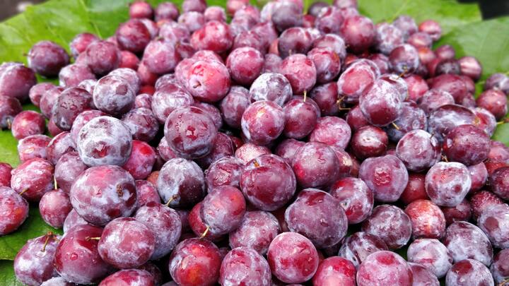 Indian Sherbet Berry Benefits For Skin