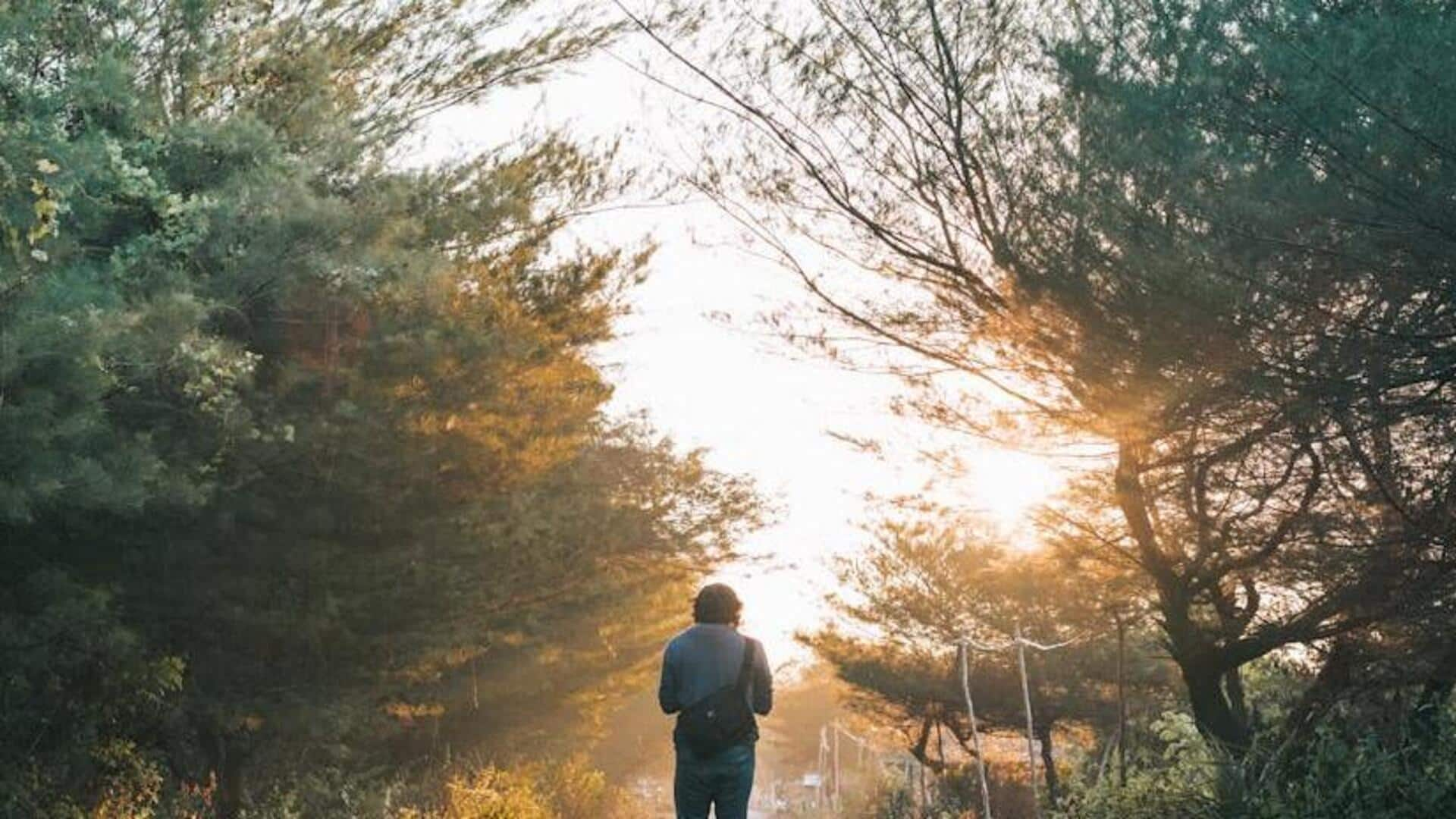 Embracing mindfulness through silent walks