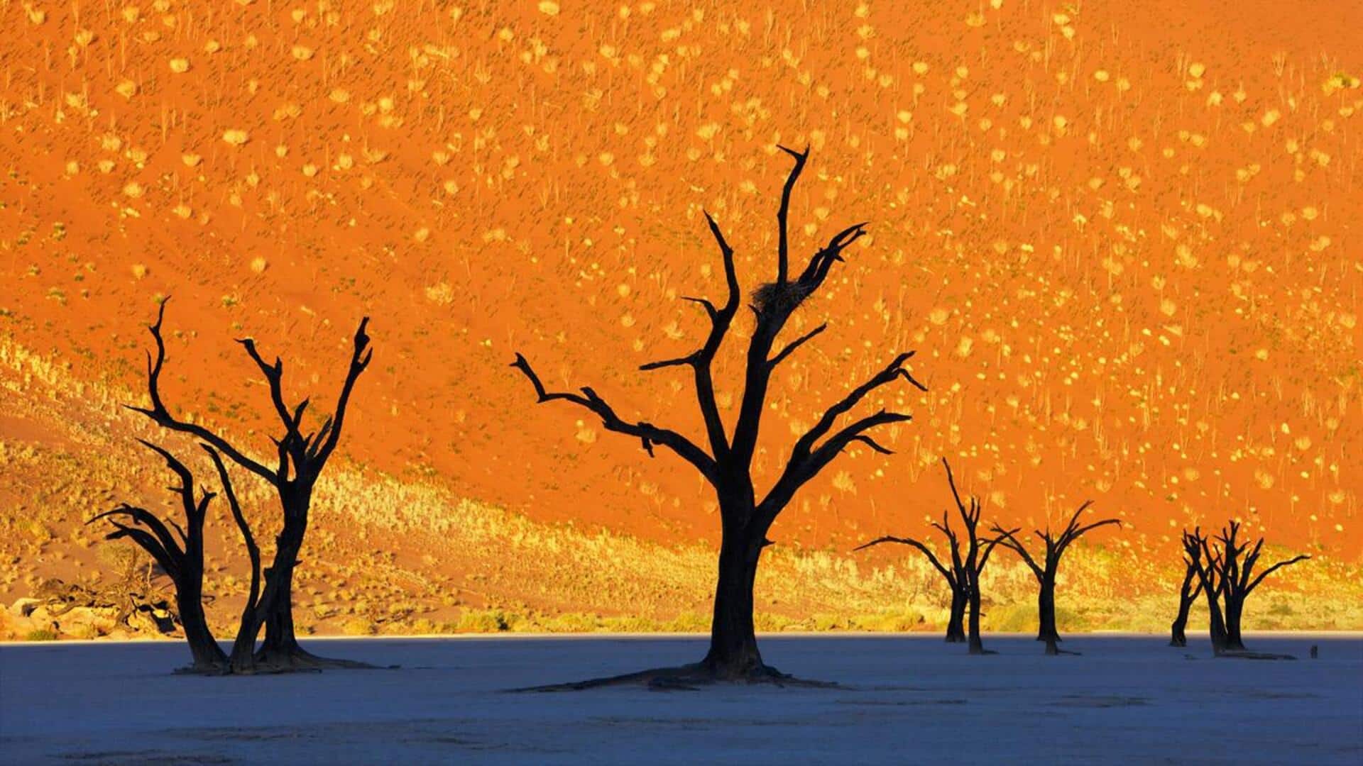 Namibian sand paintings: A unique art form Namibian sand paintings: A unique art form