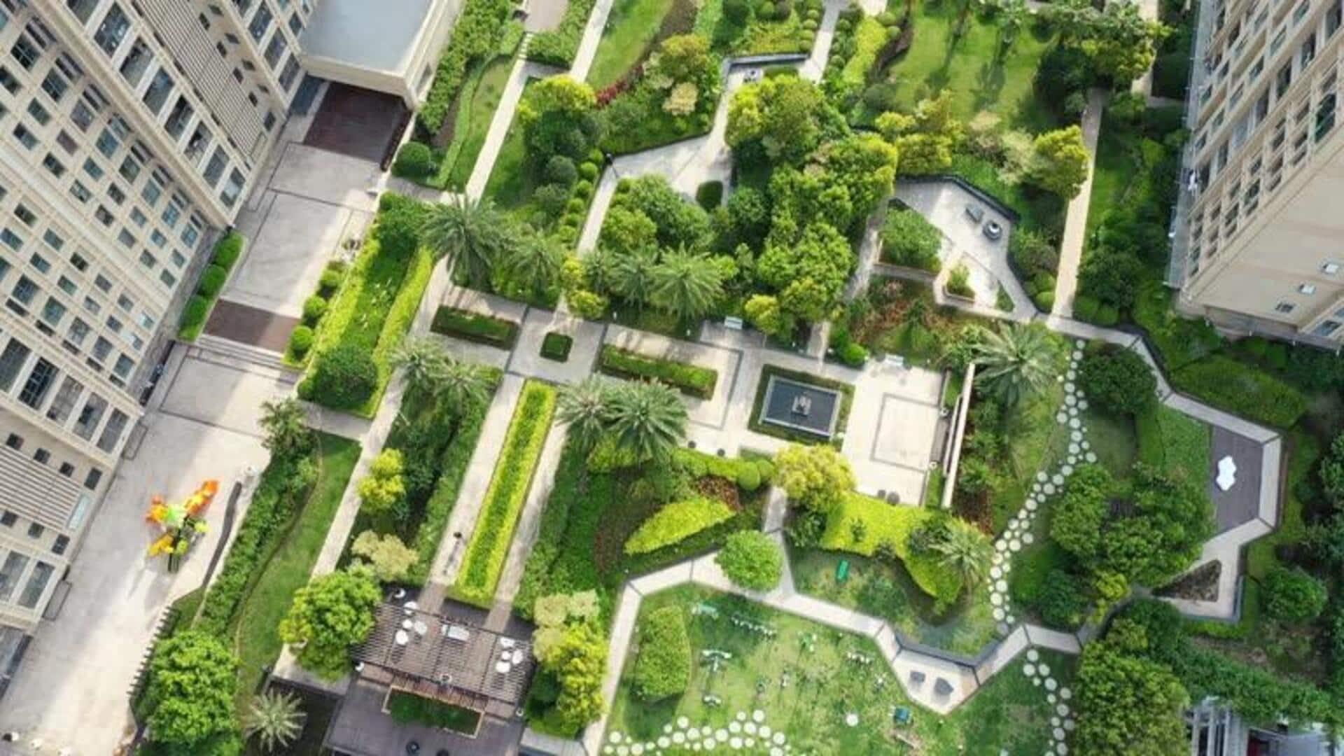 Why urban rooftops are worth exploring 