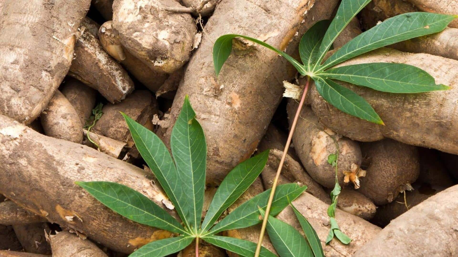 Love cassava leaves? You'll enjoy these recipes