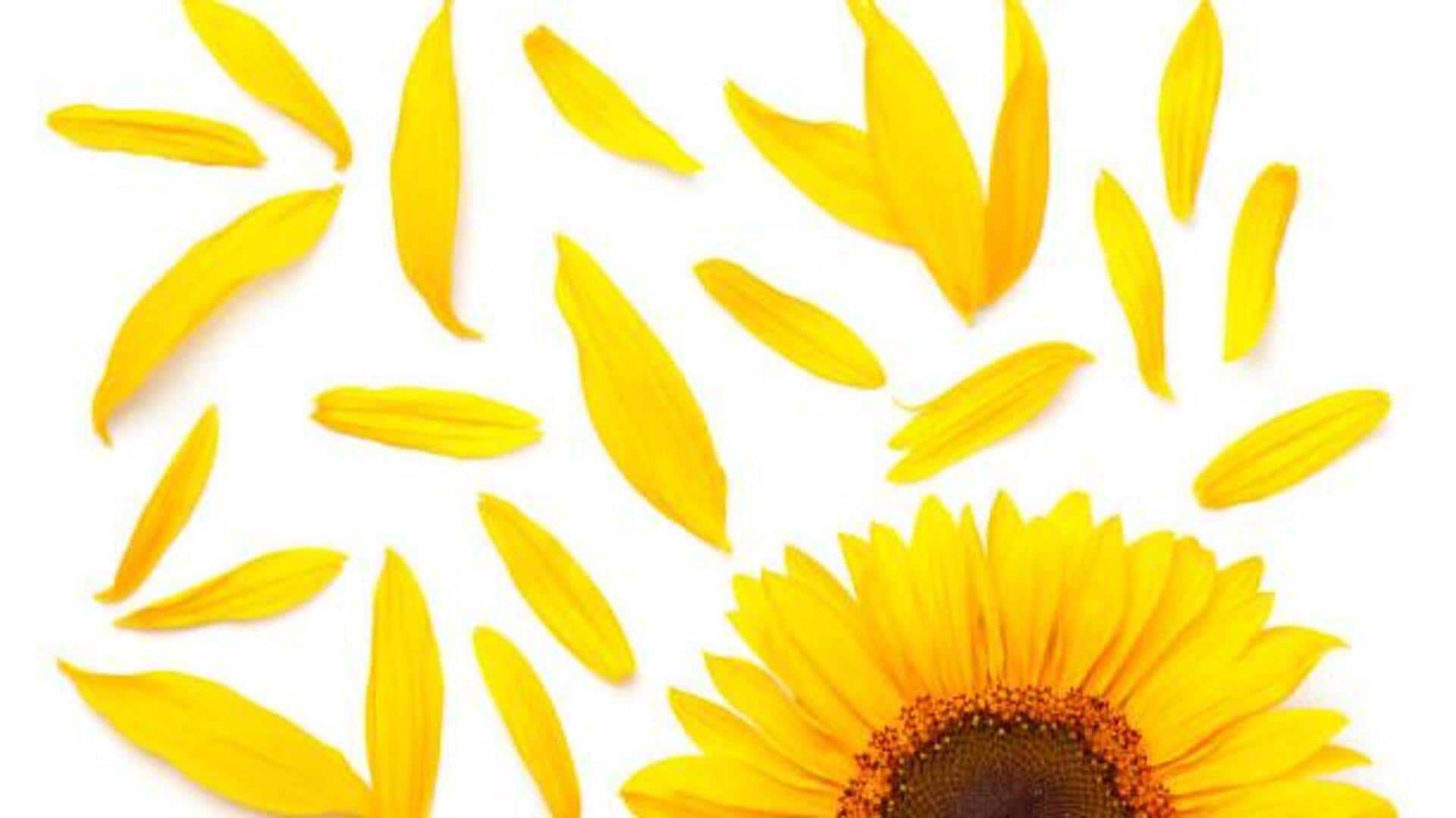 How to cook with sunflower petals