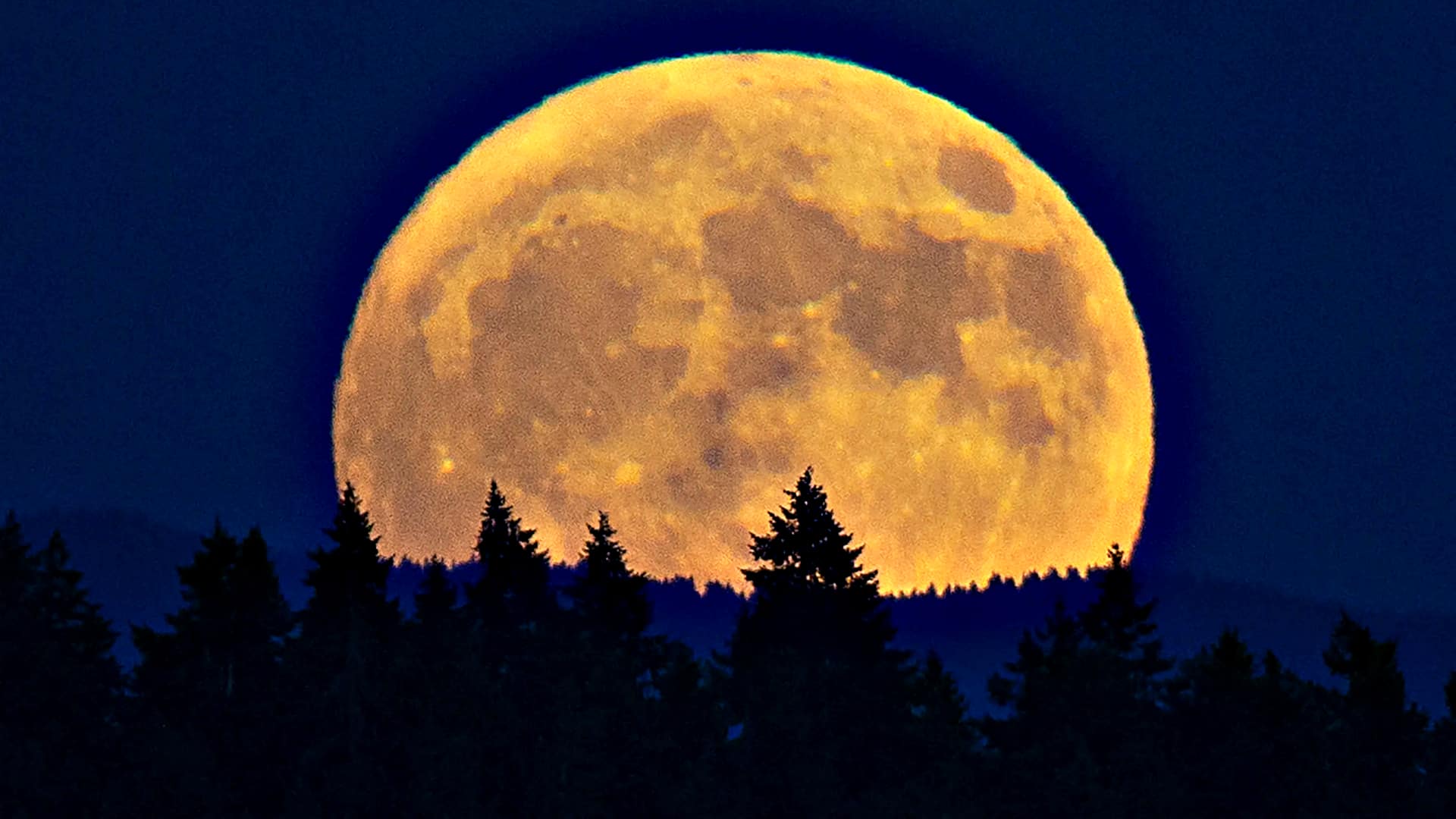 Last Supermoon of 2024 visible tonight: How to watch