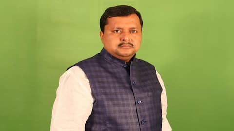 Why BJP got working president, rather than full-time one