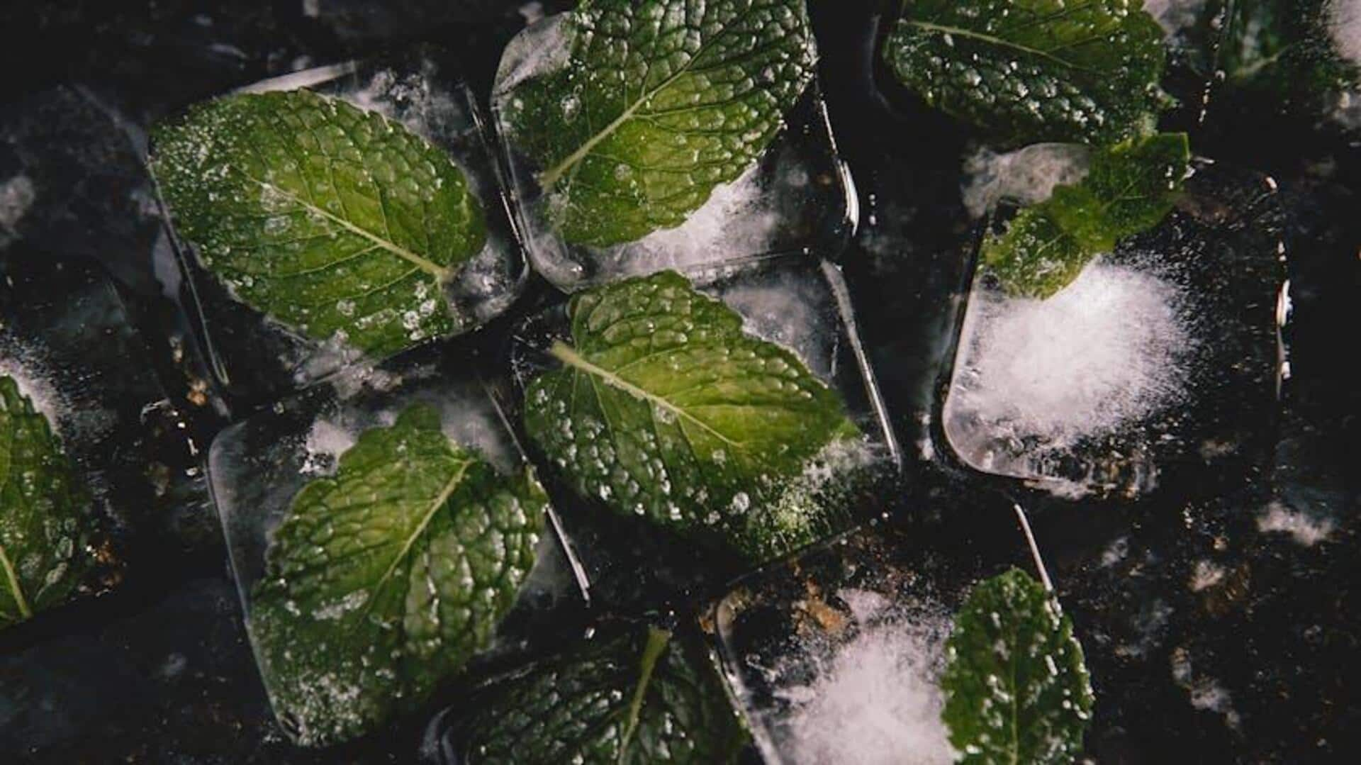 Crafting refreshing beverages with African spearmint leaves