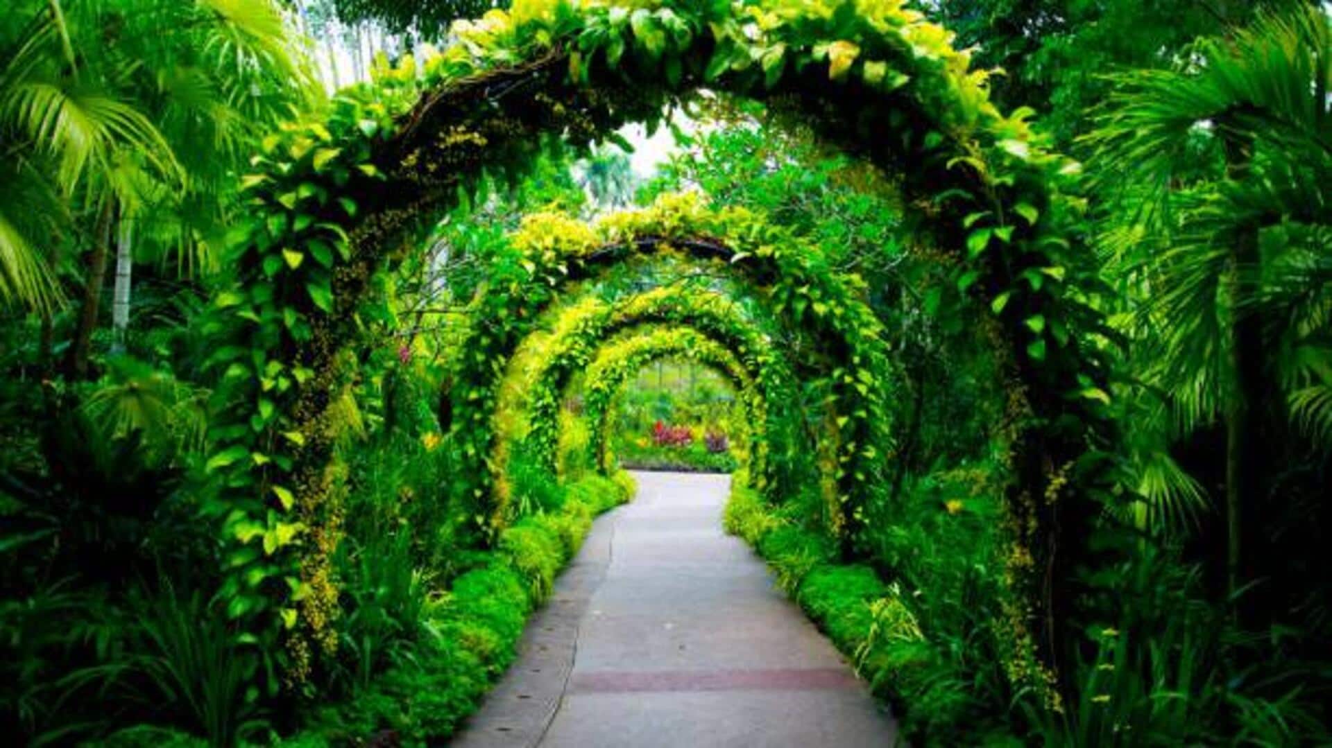 5 rare plants found in botanical gardens 5 rare plants found in botanical gardens