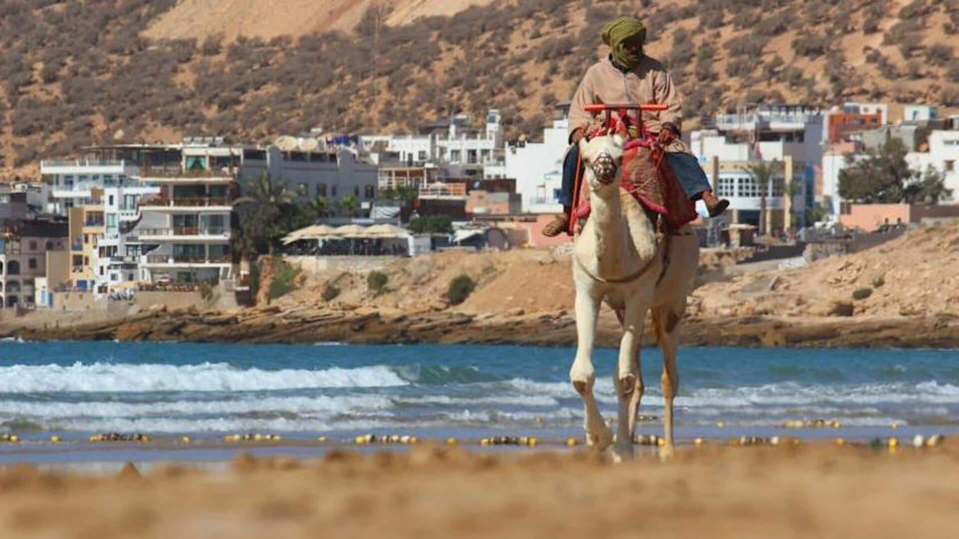 Unveiling camel riding myths in Marrakech 