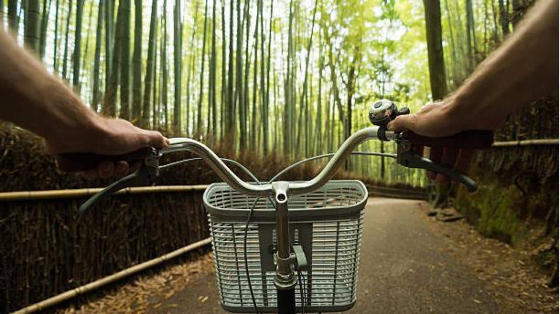 Cycling through bamboo forests: A must-try experience