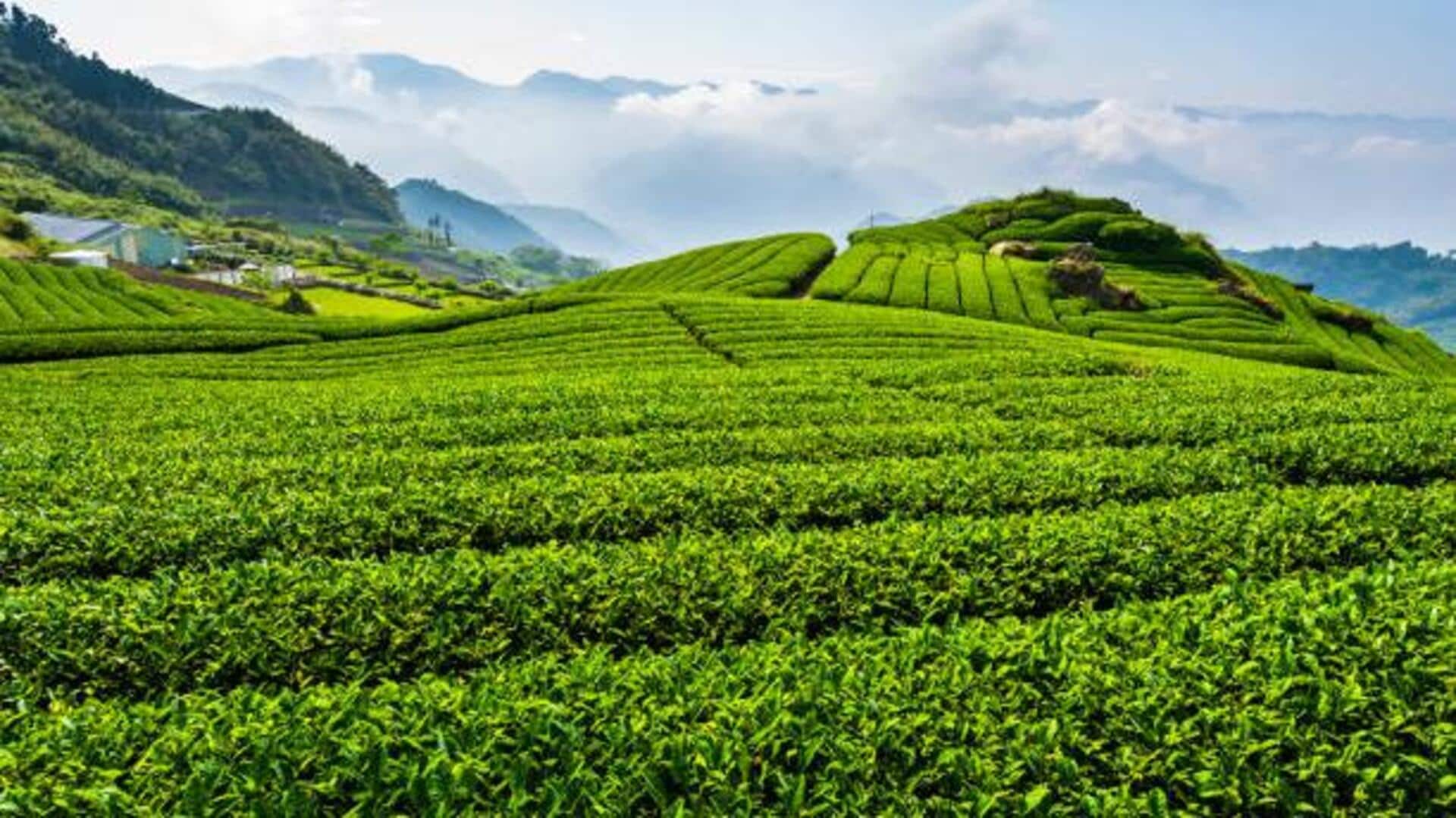When in Taiwan, explore these beautiful mountain towns When in Taiwan, explore these beautiful mountain towns