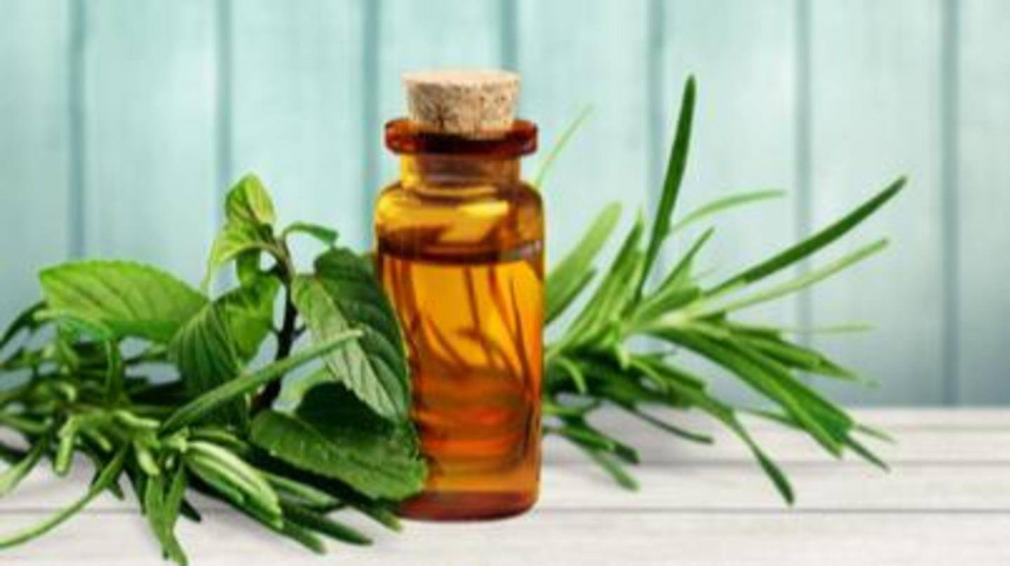 Shampoos containing tea tree oil as an ingredient work well Shampoos containing tea tree oil as an ingredient work well