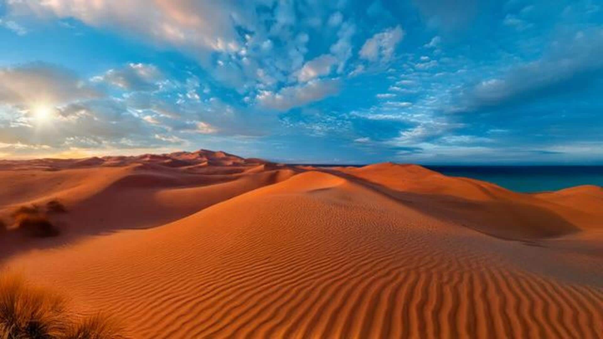 You must add these unexplored desert trails to your list You must add these unexplored desert trails to your list