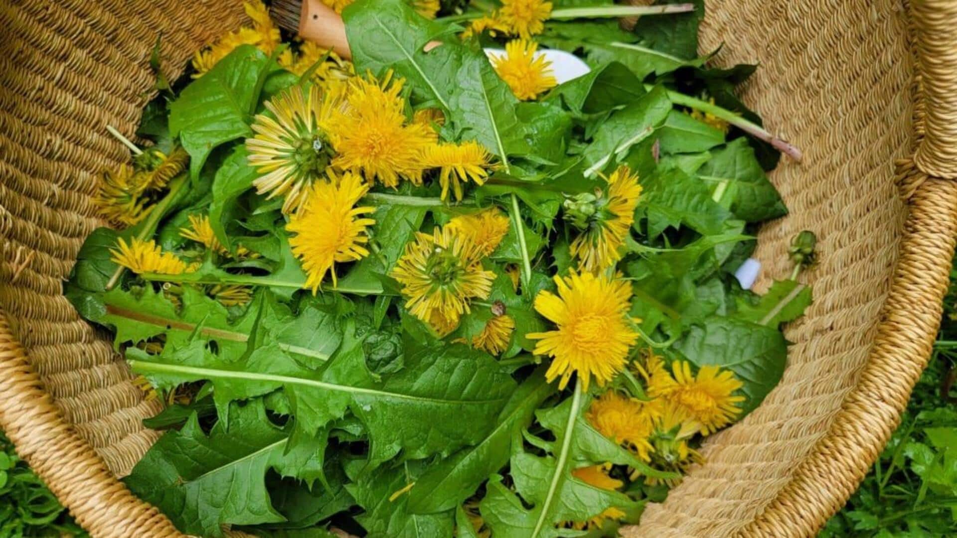 Surprising recipes using dandelion greens Surprising recipes using dandelion greens