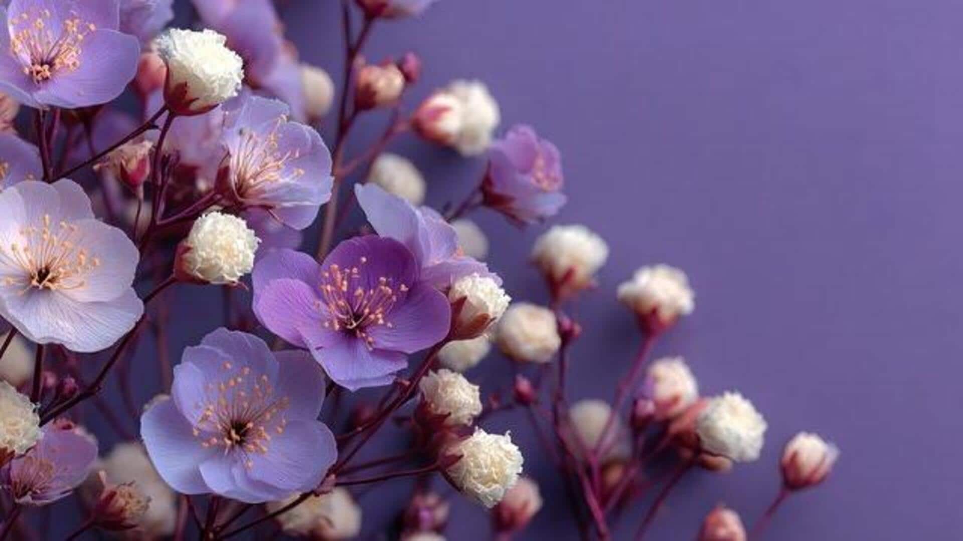 How to restore wilting violet flowers