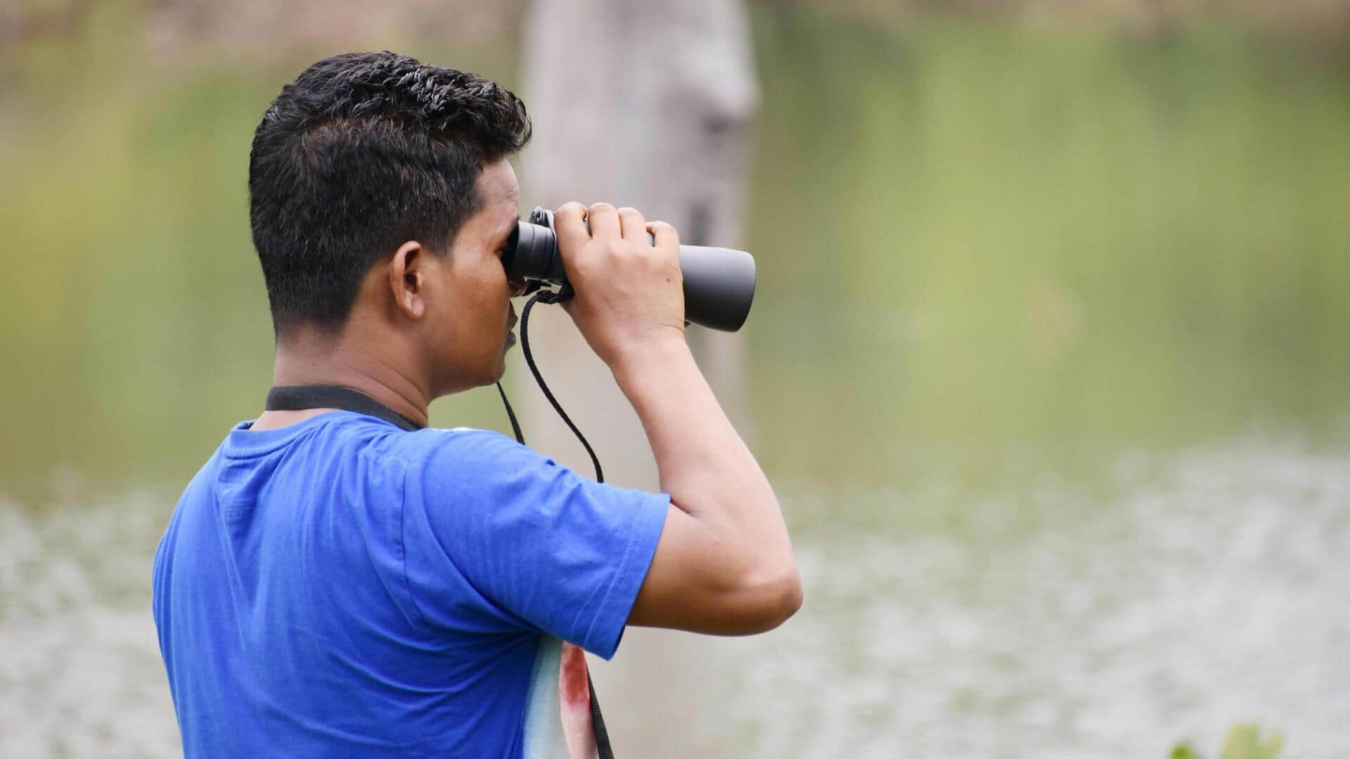 How birdwatching can calm your mind