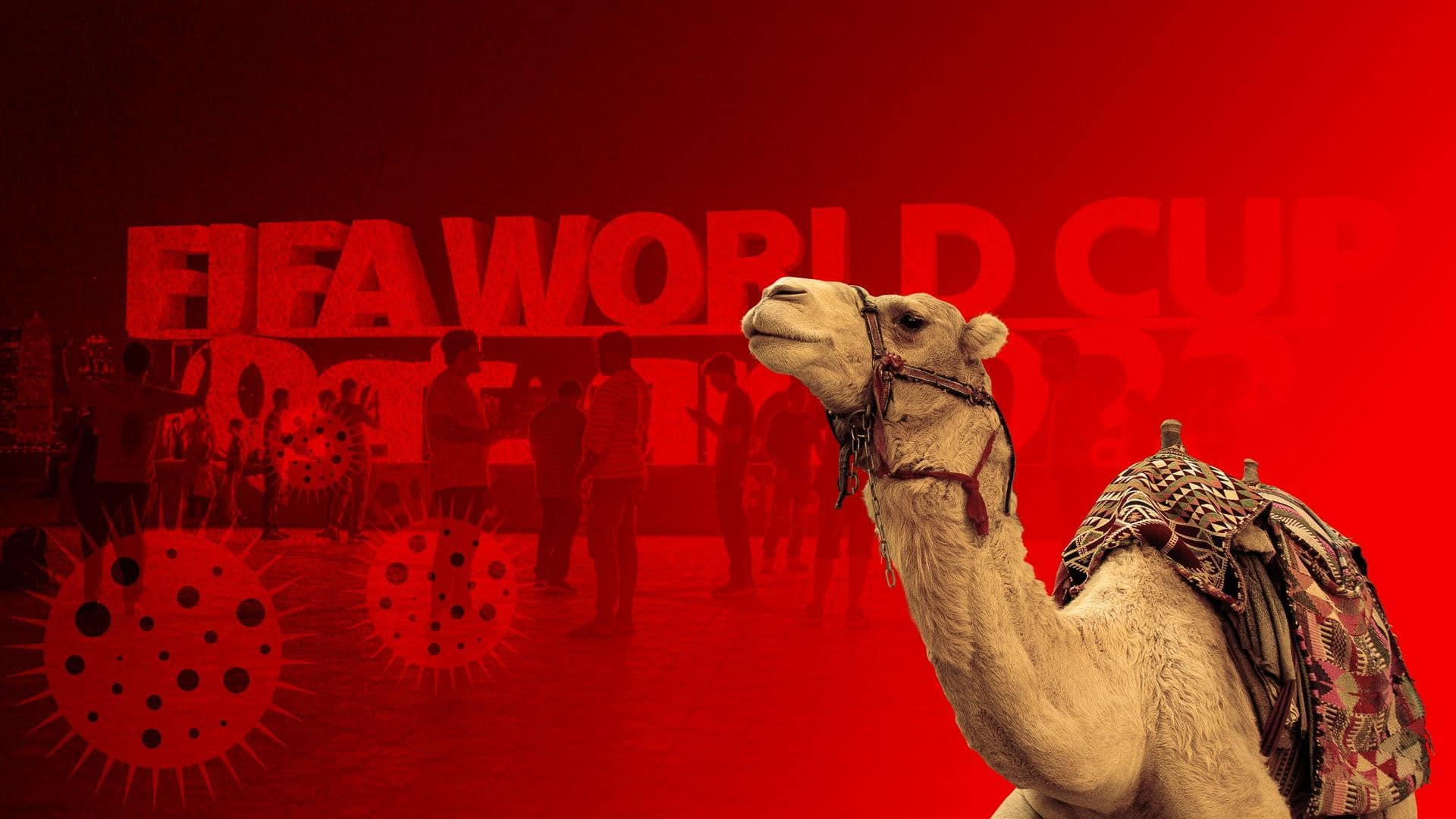 #NewsBytesExplainer: What's Camel flu, the virus scare during FIFA 2022?