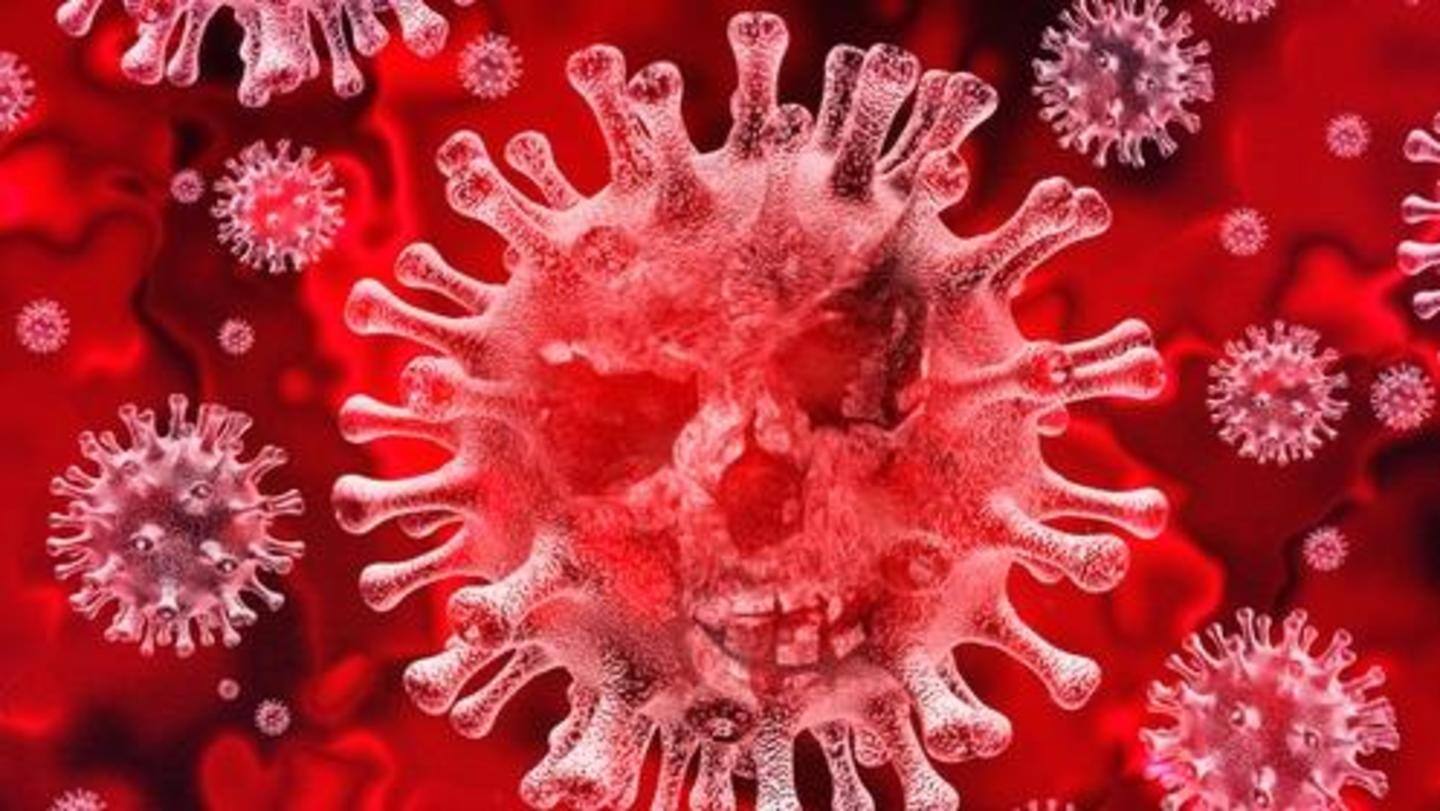 UK variant of coronavirus linked to significantly higher death rate