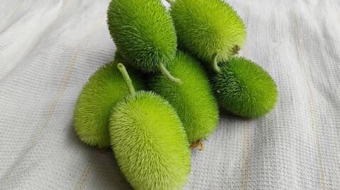 Why you should start eating spiny gourd
