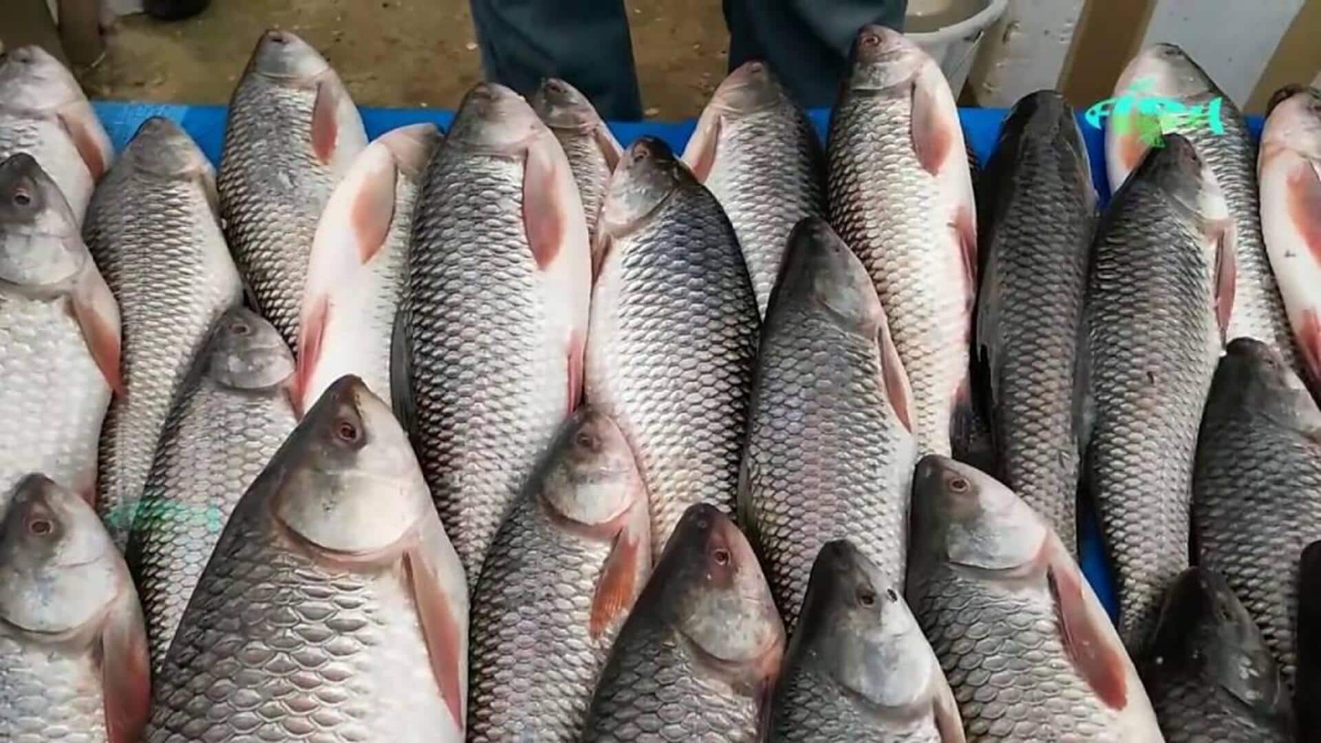 Crowd loots fish while accident-victim lies nearby on Bihar street