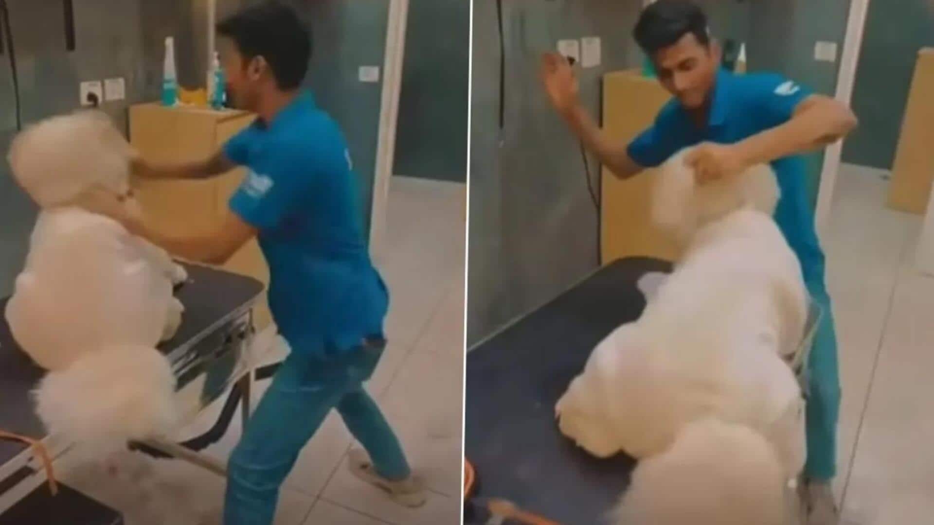 2 staffers punch, kick dog at Thane pet clinic; booked