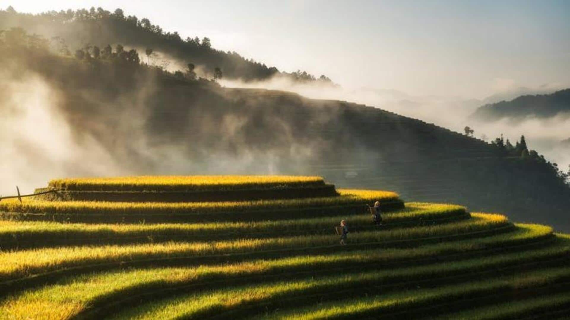 Savor these delicious Assam tea garden vegan foods