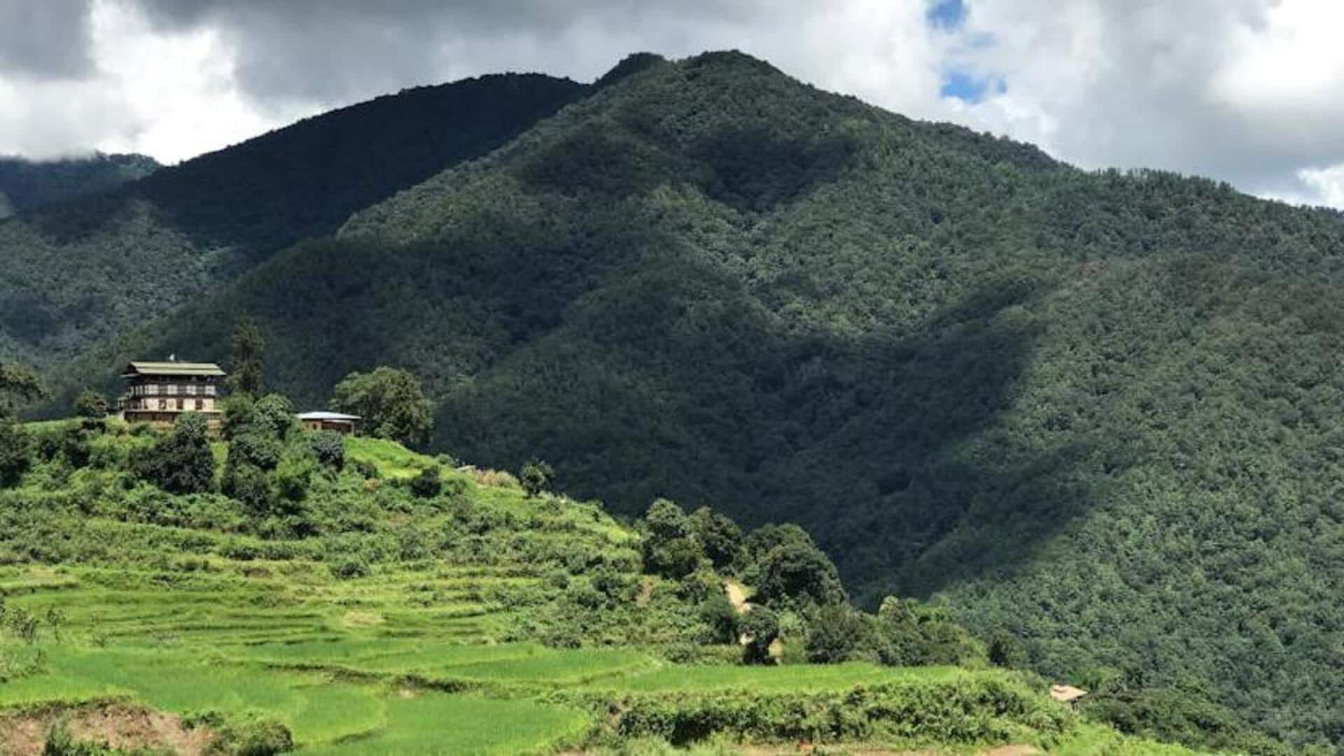 Trekking the Dragon's Backbone: Bhutan's mountain trails