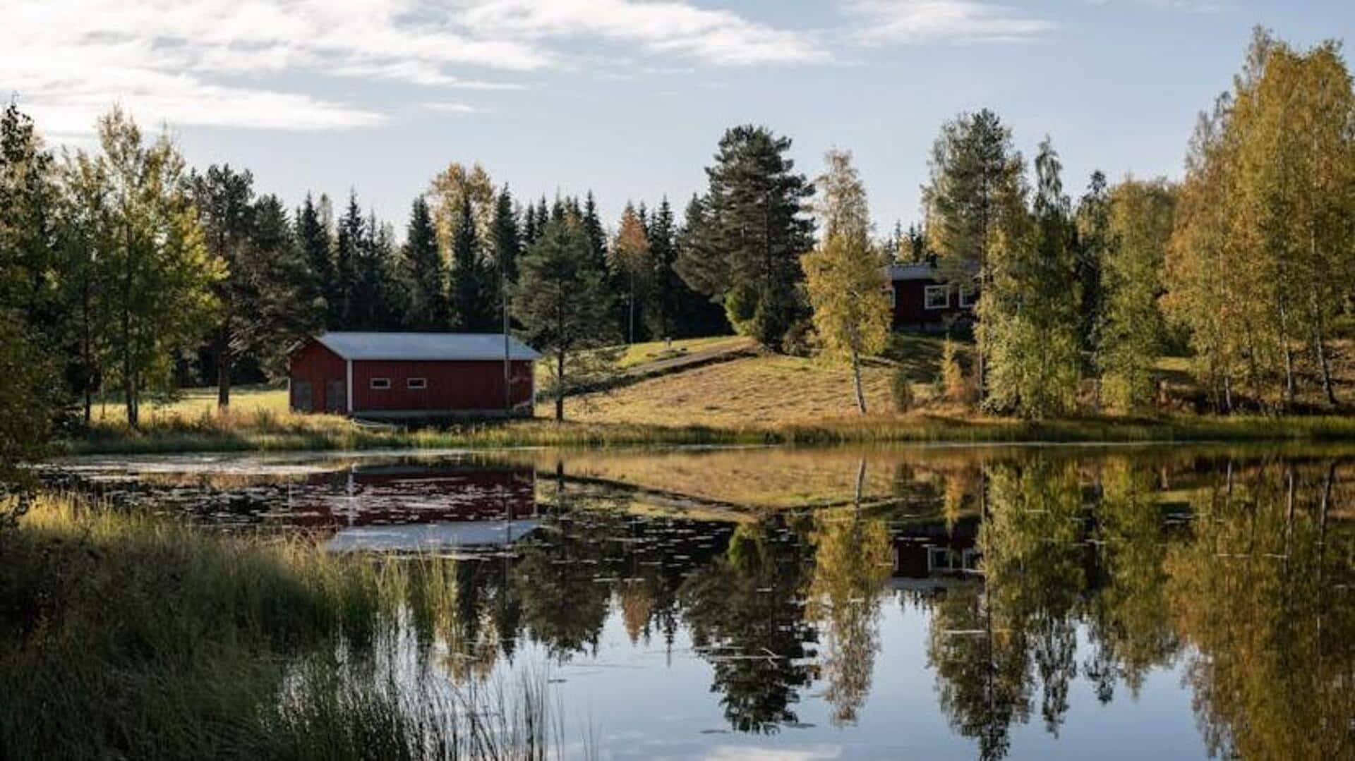 Unveiling Finland's mystical forests and sauna traditions