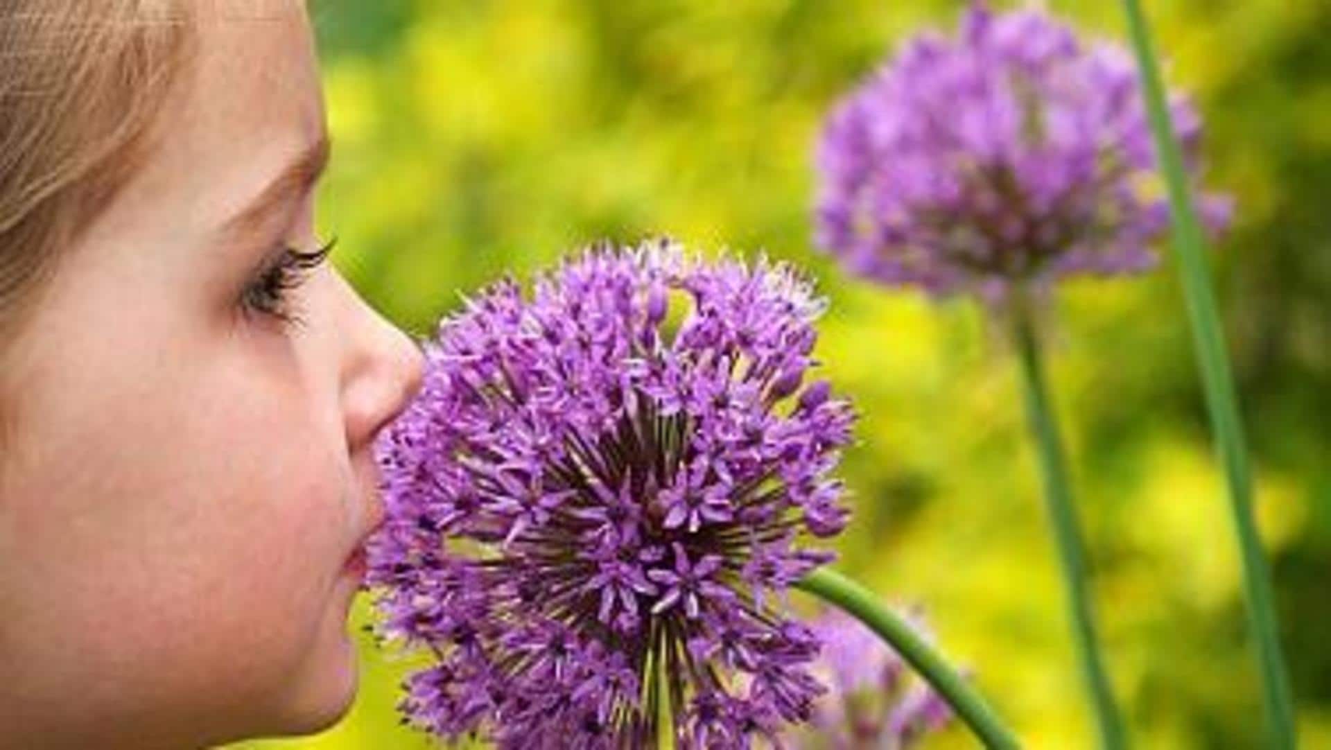 Scientists may have solved the mystery behind how we smell