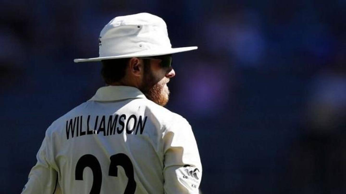 Williamson's return a big plus at number three Williamson's return a big plus at number three