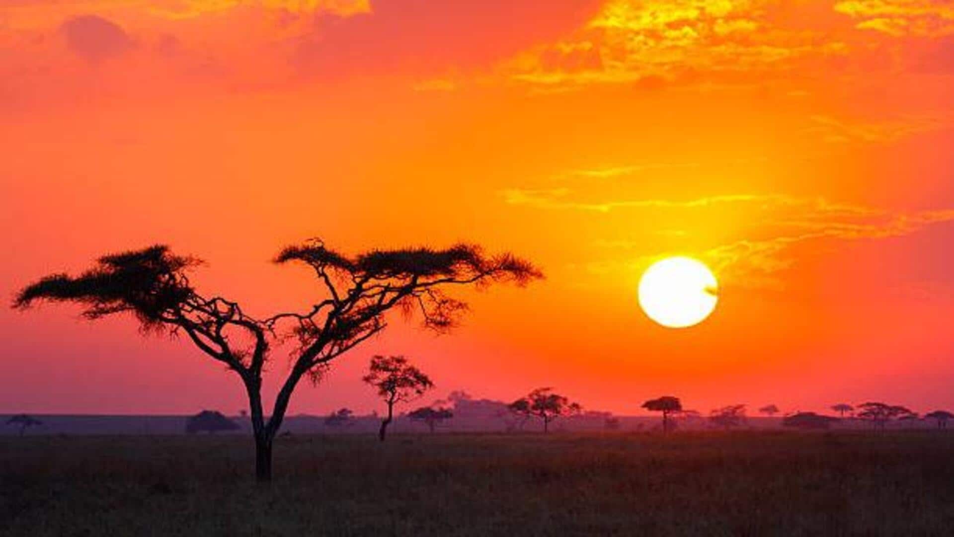 Best places to witness stunning savanna sunrises Best places to witness stunning savanna sunrises
