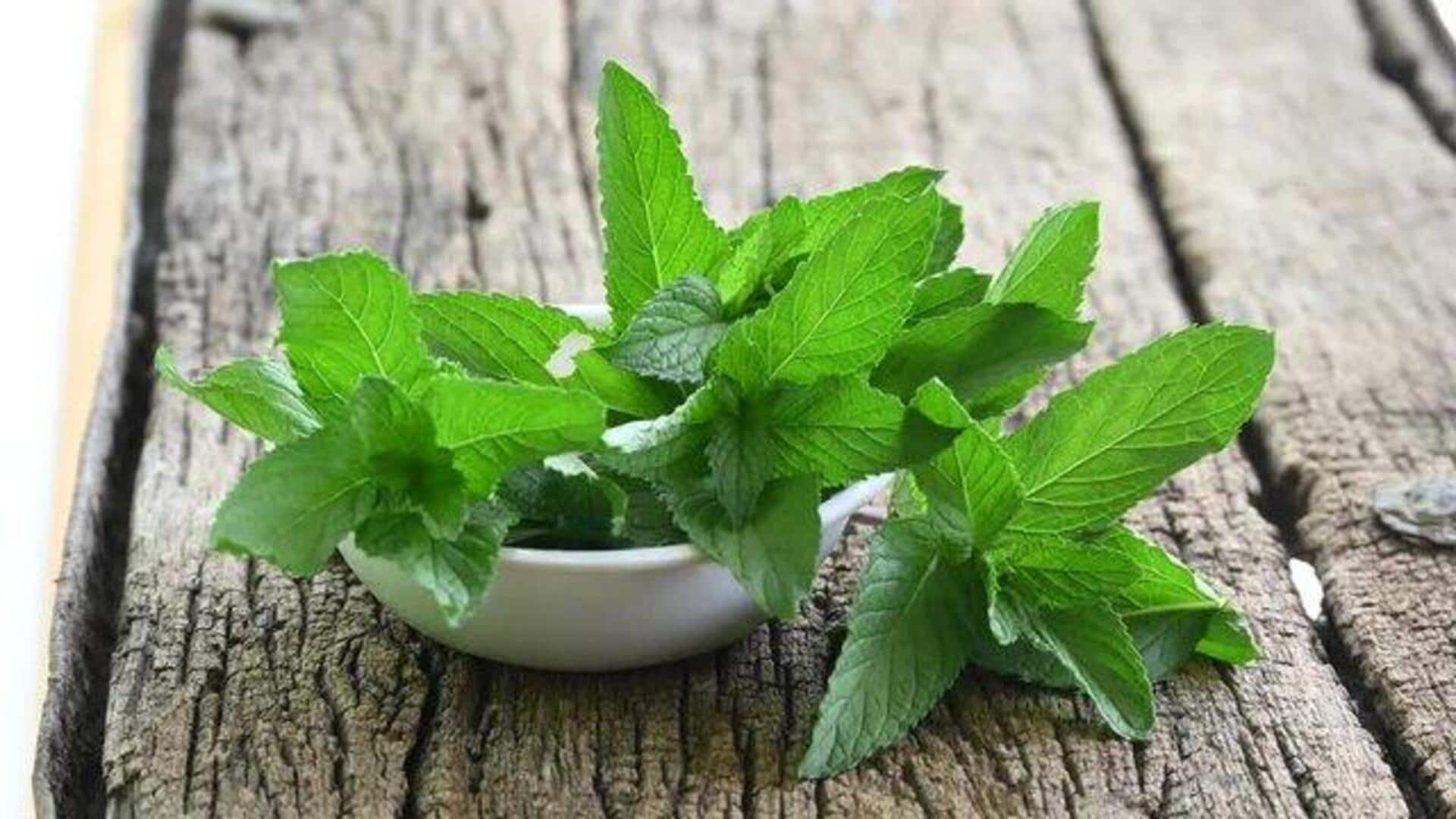 Wild mint: A versatile herb for oral health