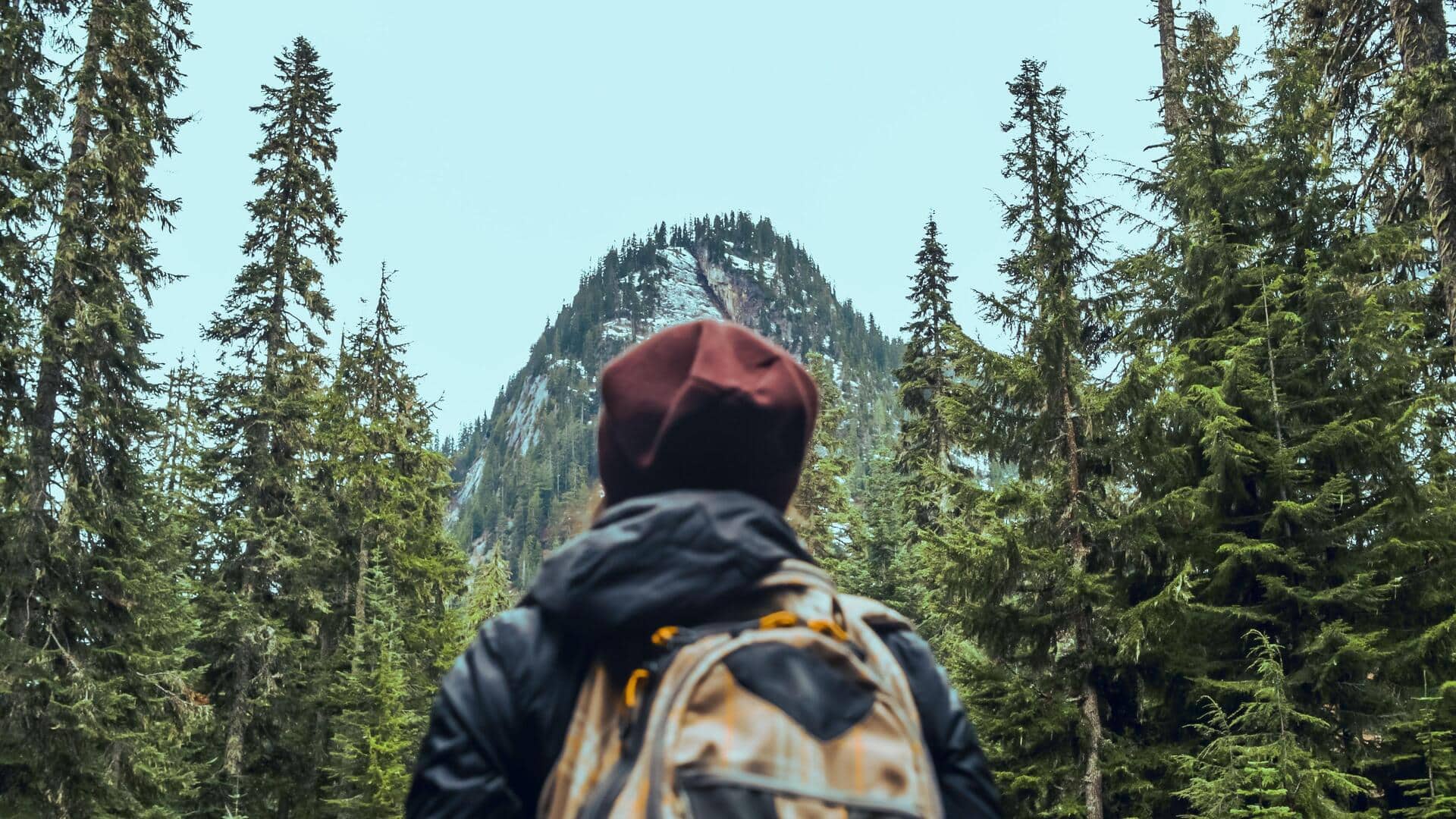 Which is better for your heart: Cycling or hiking?