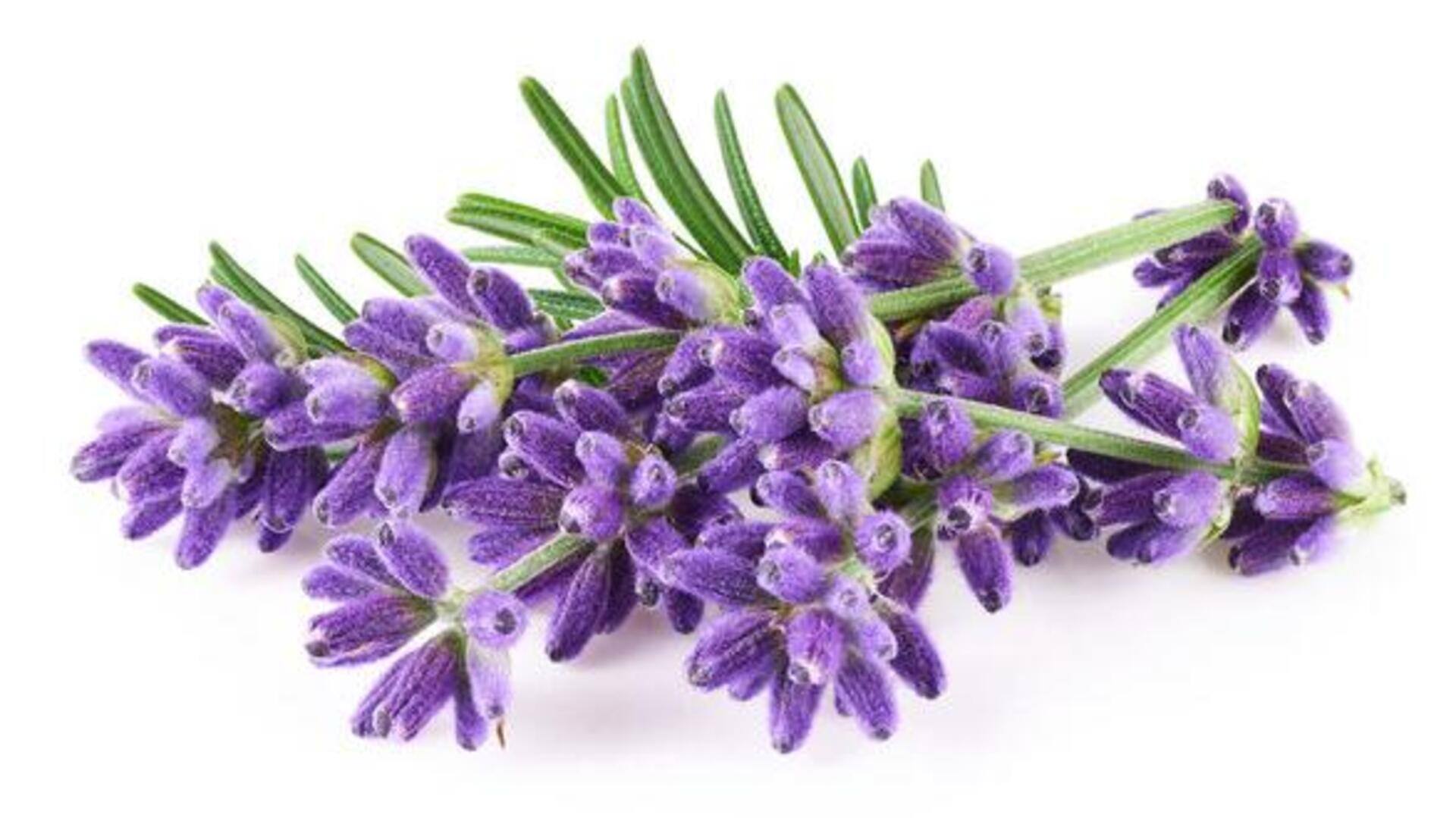 How to use lavender for relaxation
