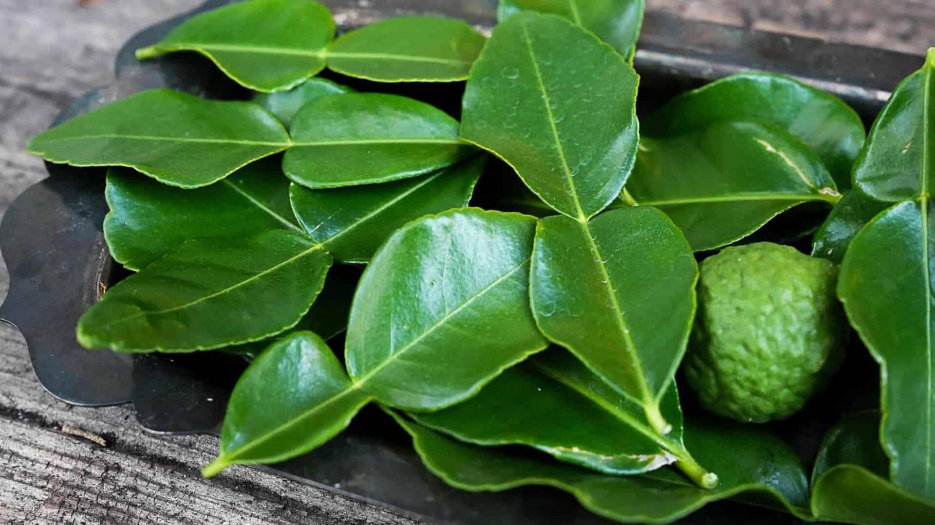 Enhance your food with kaffir lime leaves Enhance your food with kaffir lime leaves
