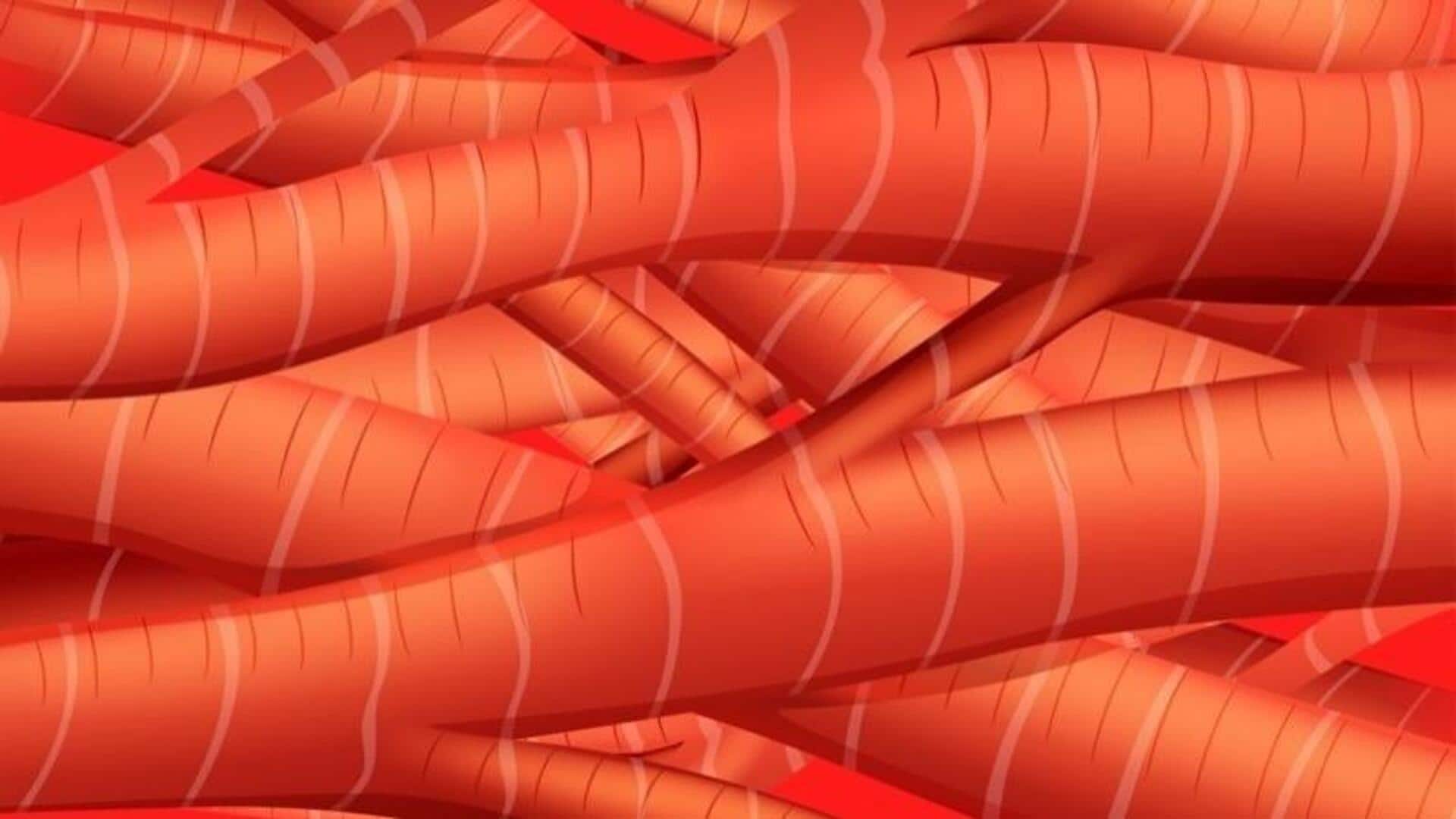 Printing muscle tissue in zero gravity is now possible Printing muscle tissue in zero gravity is now possible