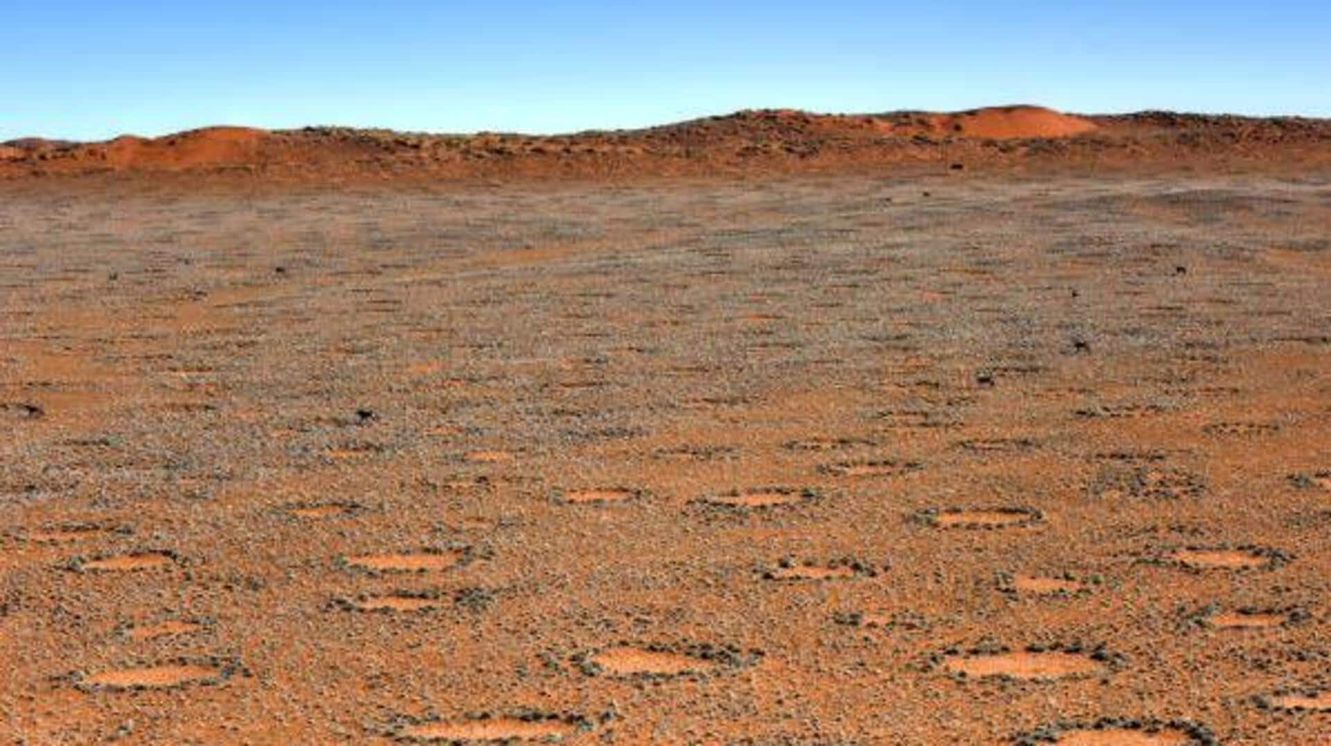 Unveiling Namibia's enigmatic fairy circles at NamibRand