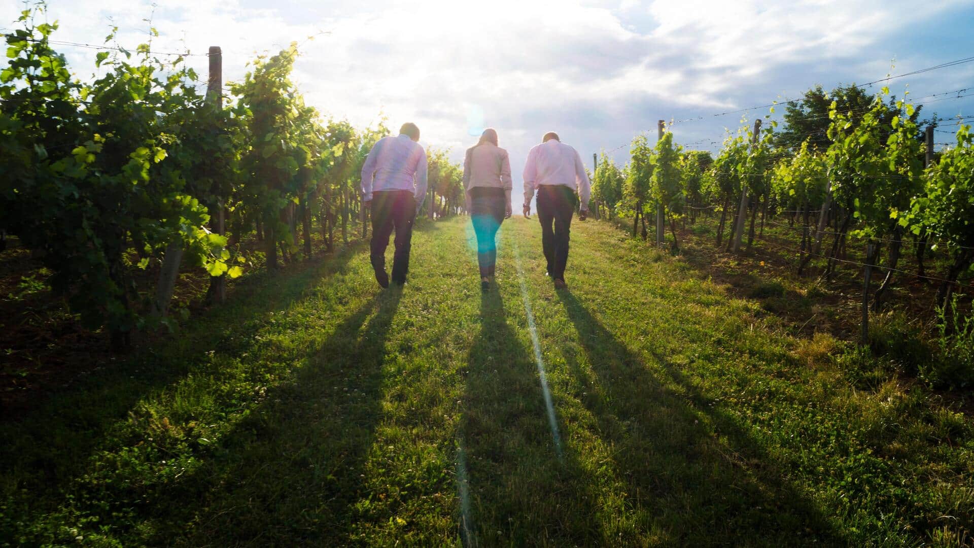 Grapevine walking: This side-to-side walk can make you more agile