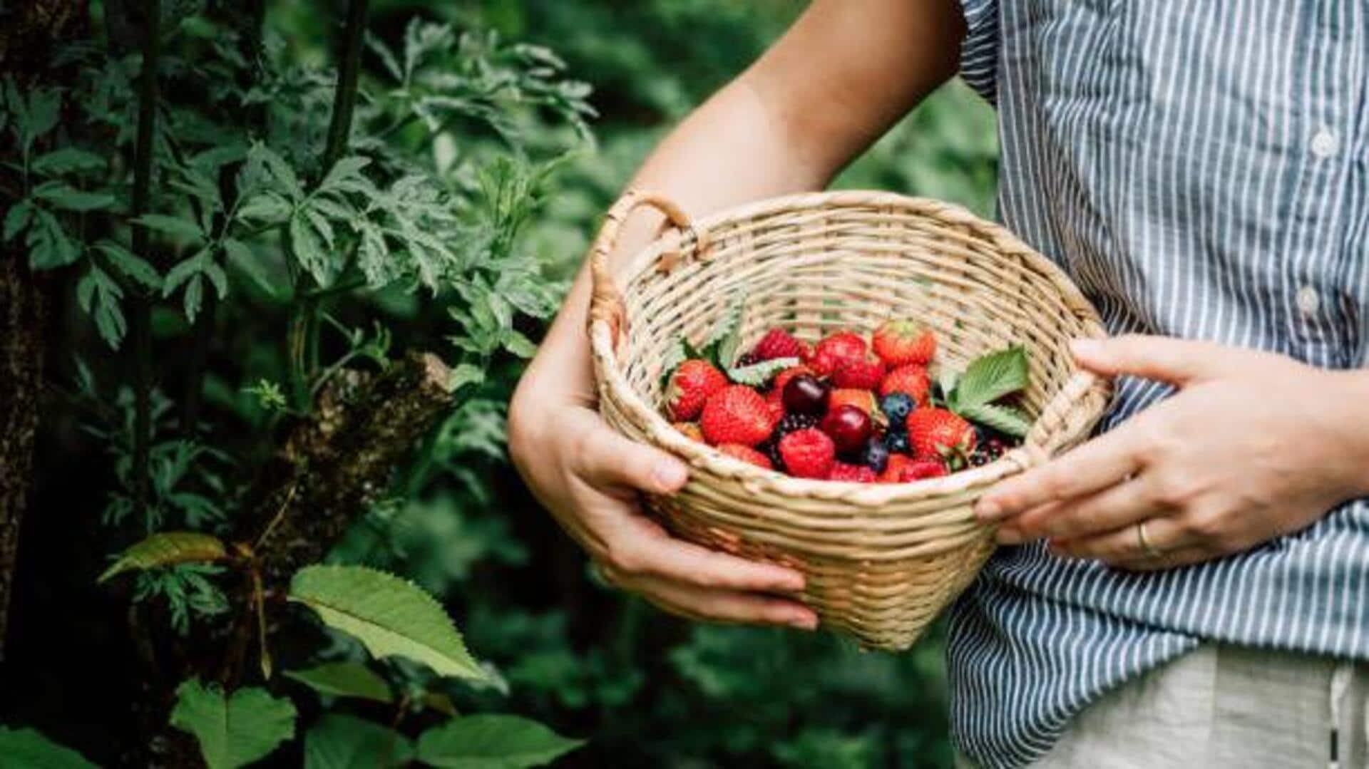 Berry-picking in Finland: Top spots to explore