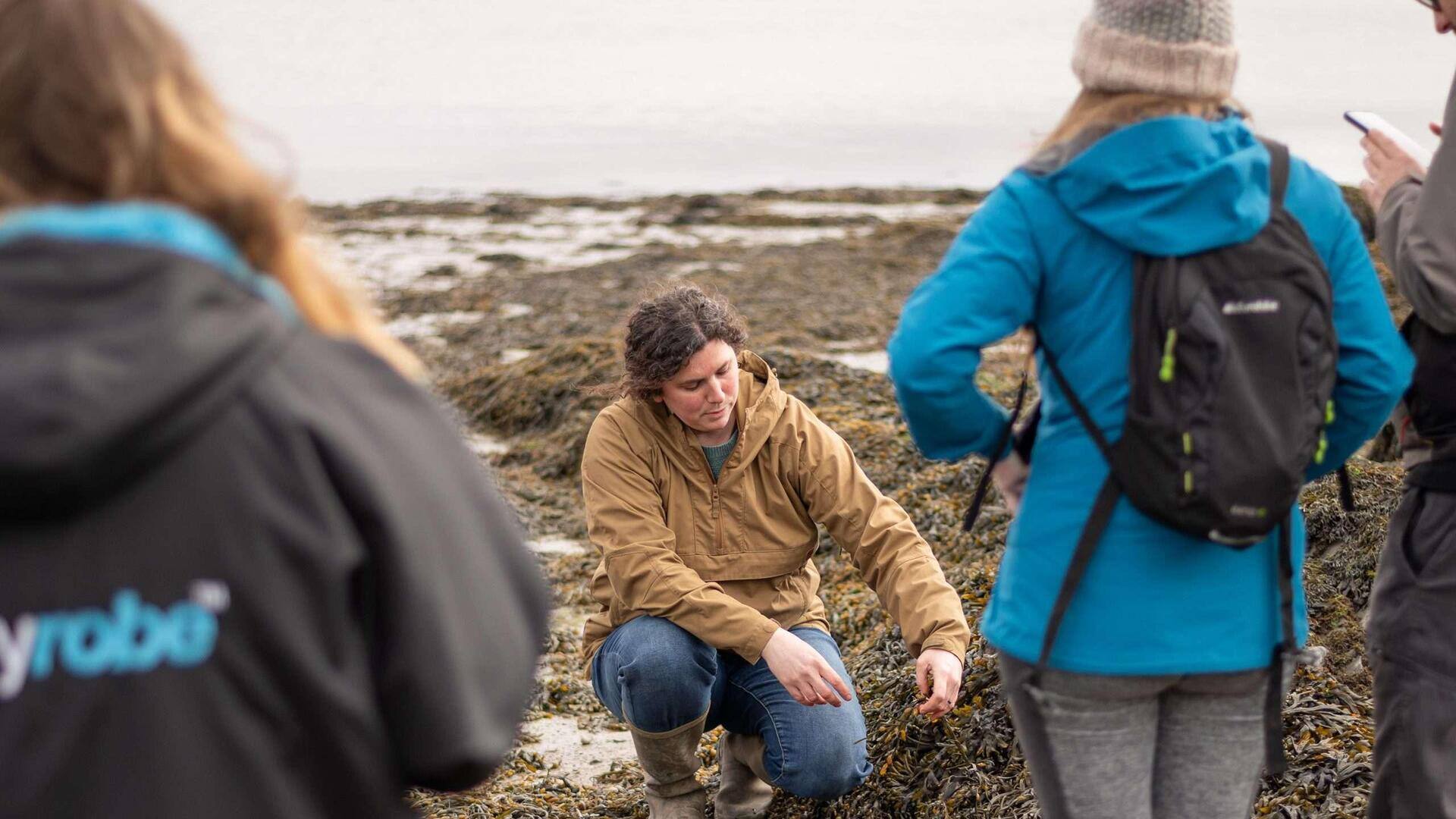 Mulling something offbeat? Try coastal foraging in Wales