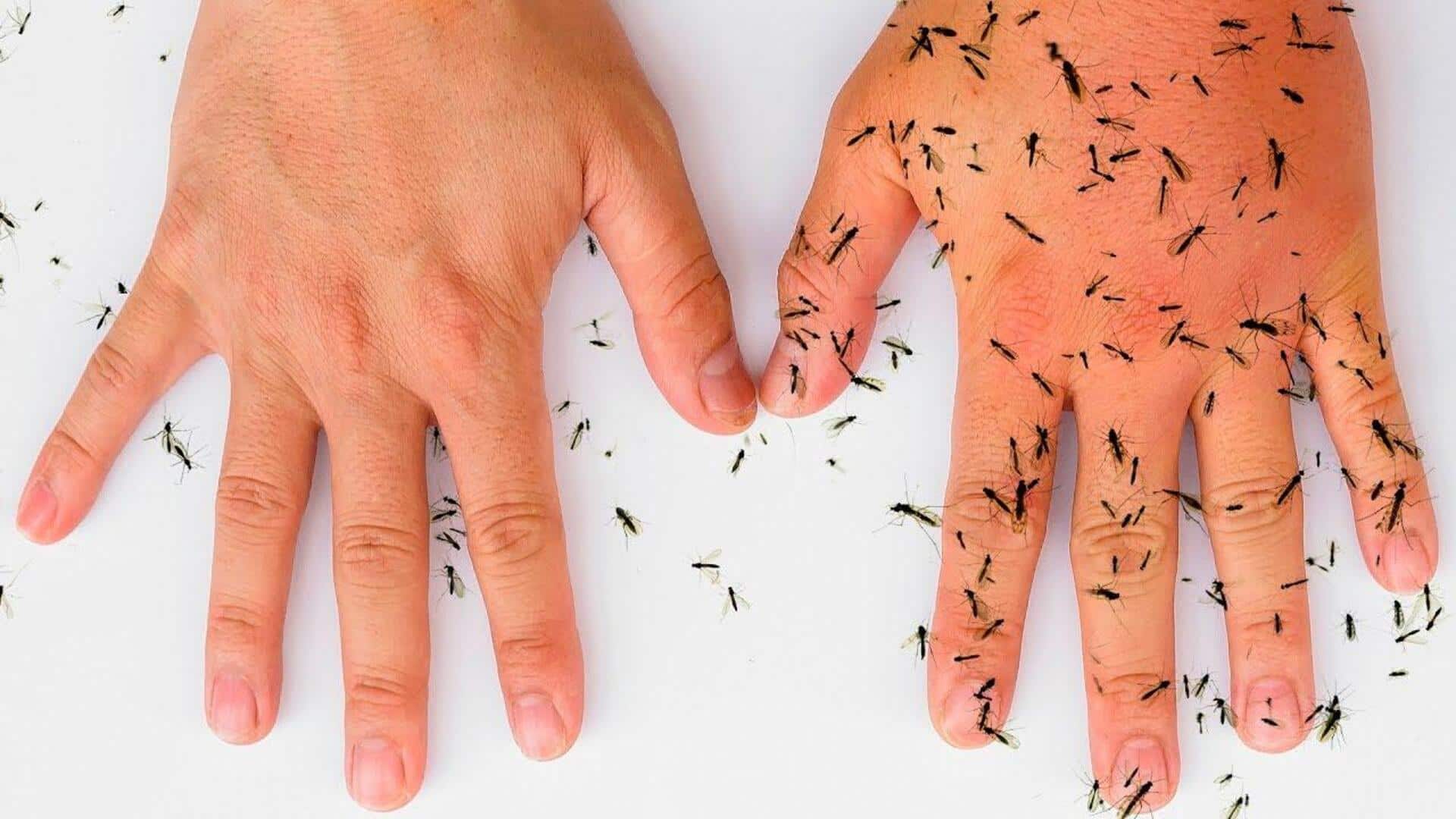 5 natural ways to keep mosquitoes away