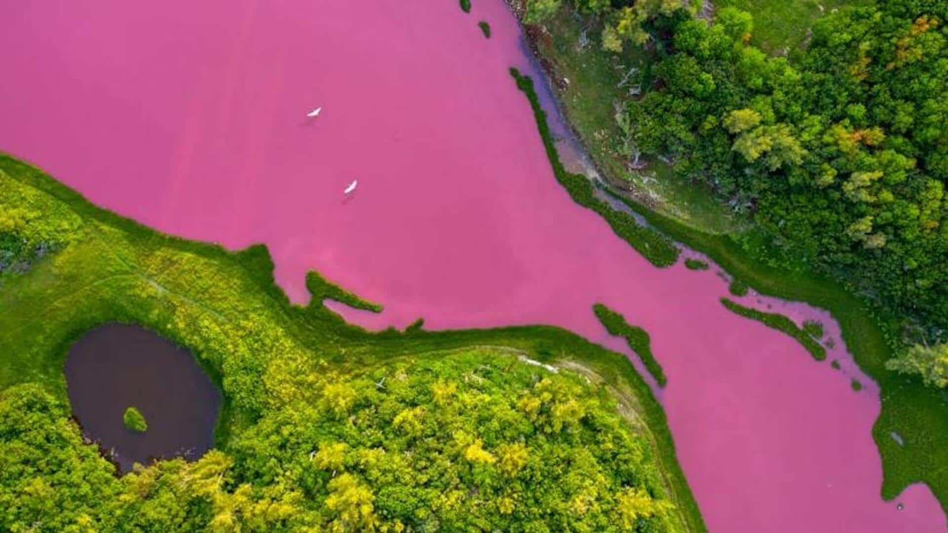 Unveiling Bermuda's pink sands and shipwreck dives