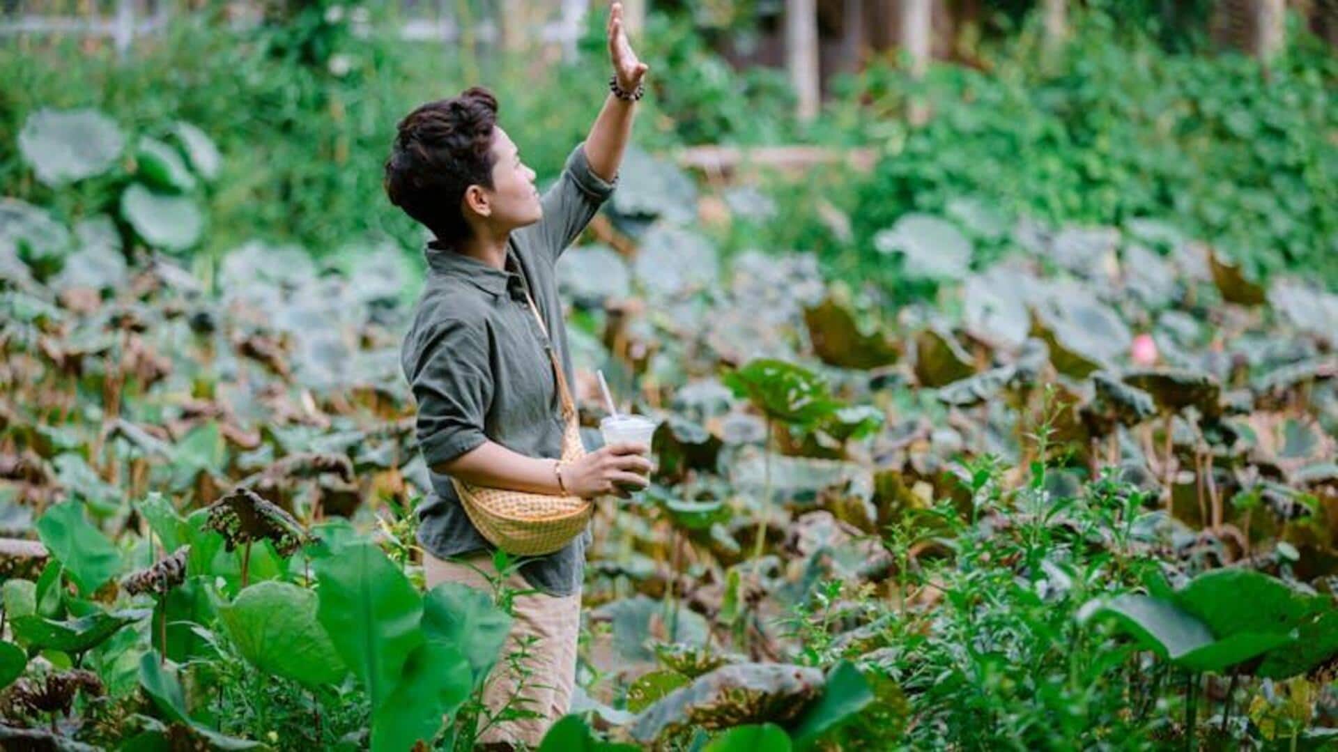 How walking in nature can relax you How walking in nature can relax you