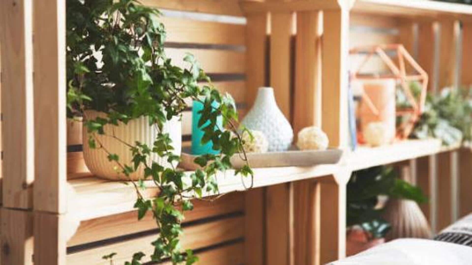 Transform your space with vintage wooden crates