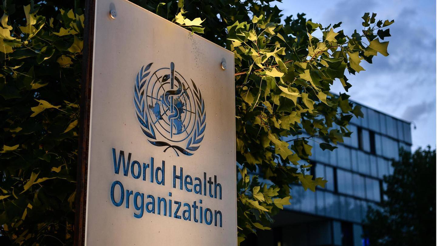 WHO's report was probably wrong, member says WHO's report was probably wrong, member says
