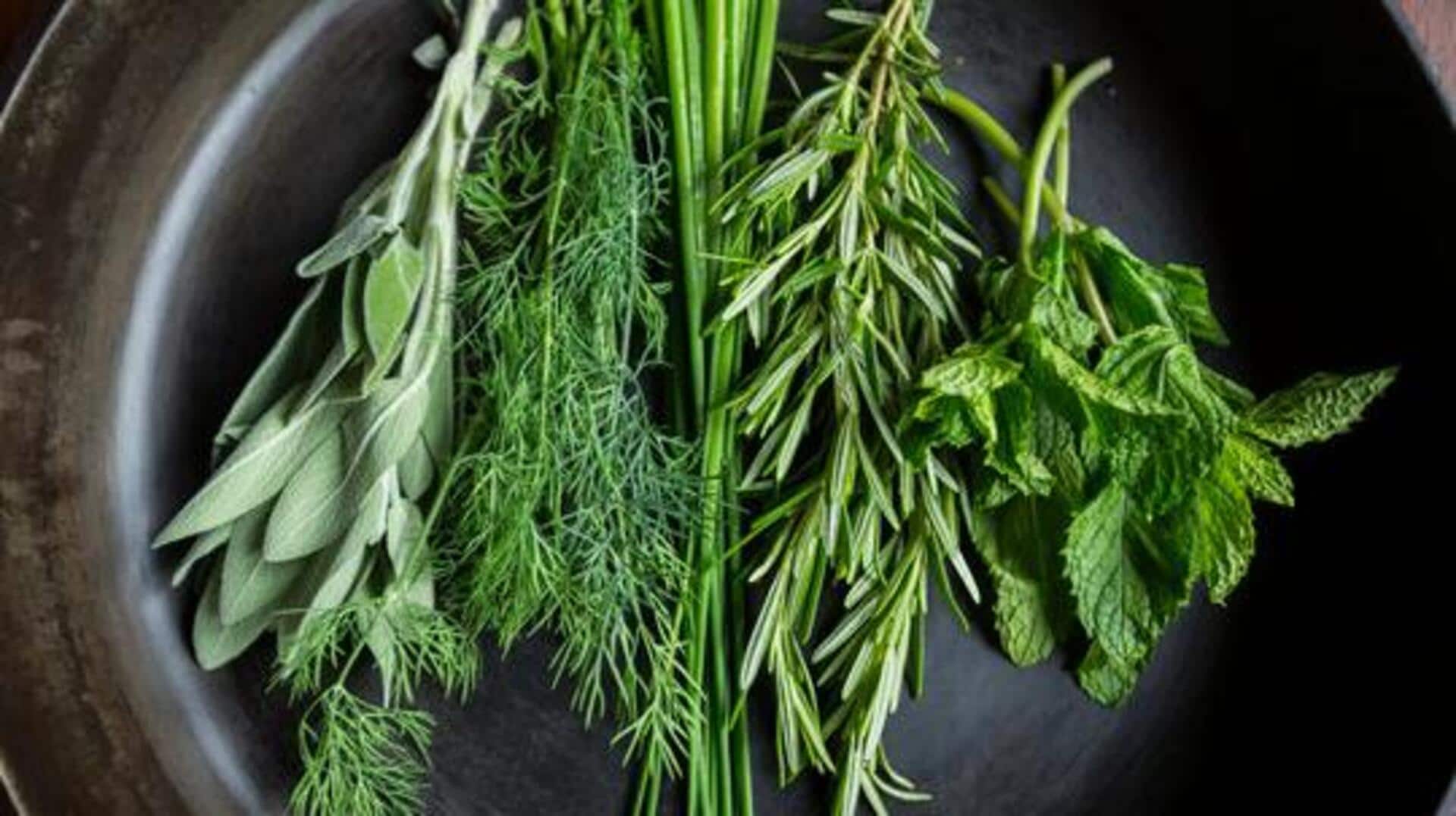 Spice up your plate: Herbs worth trying