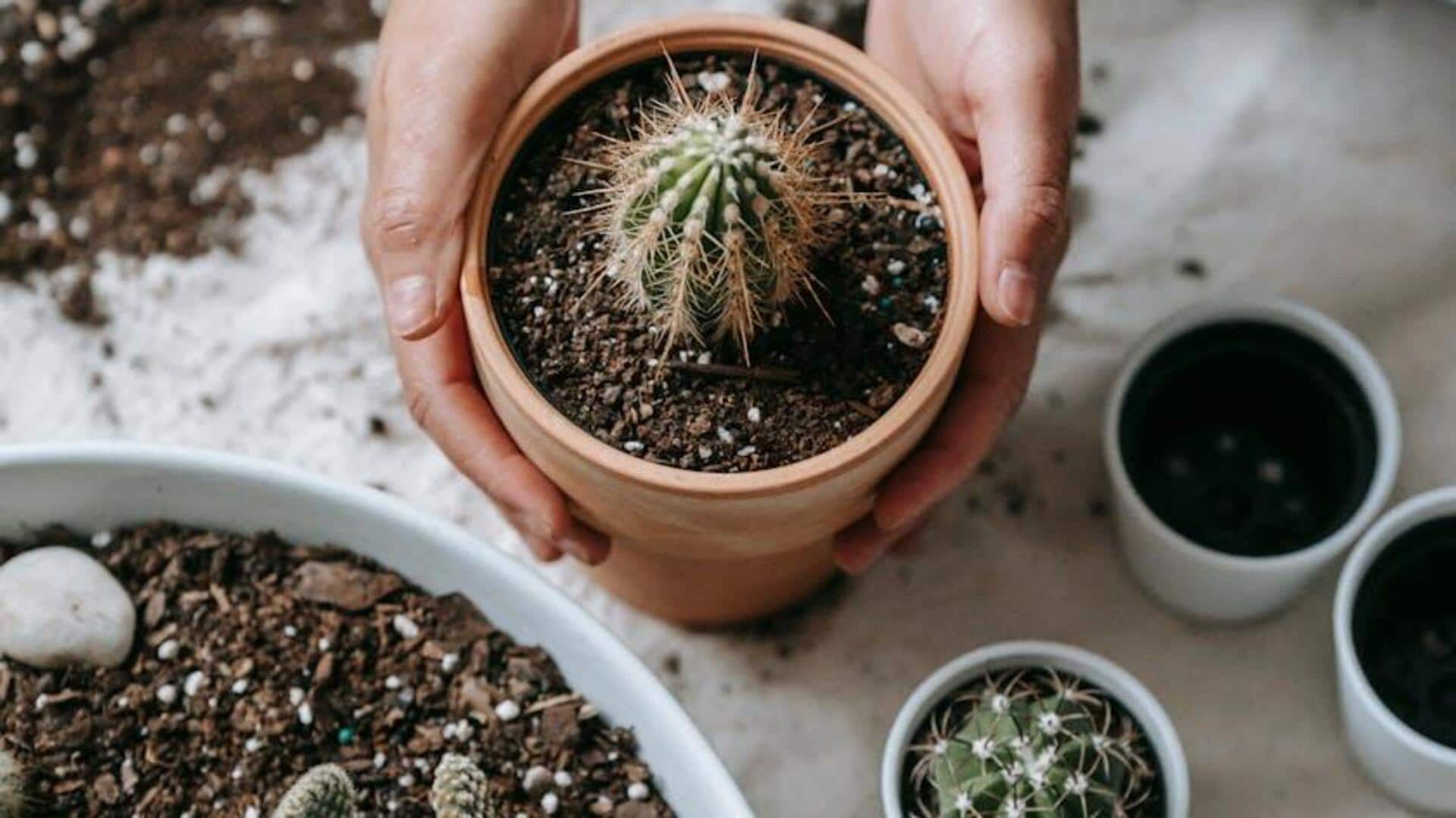 These household items can completely transform your garden These household items can completely transform your garden