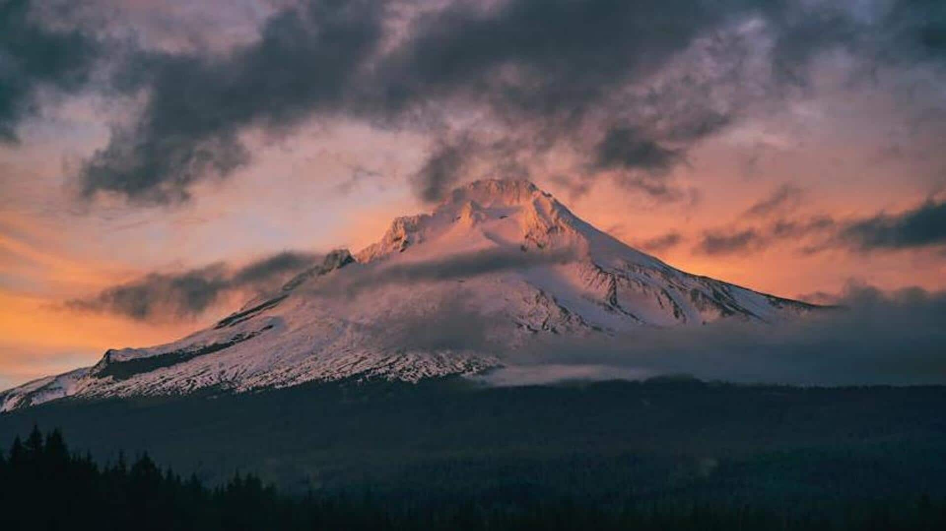 Ways to soothe stress with nature photography