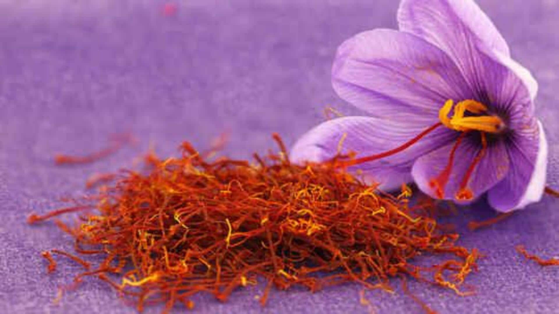 Discovering the saffron harvests of Morocco's Taliouine