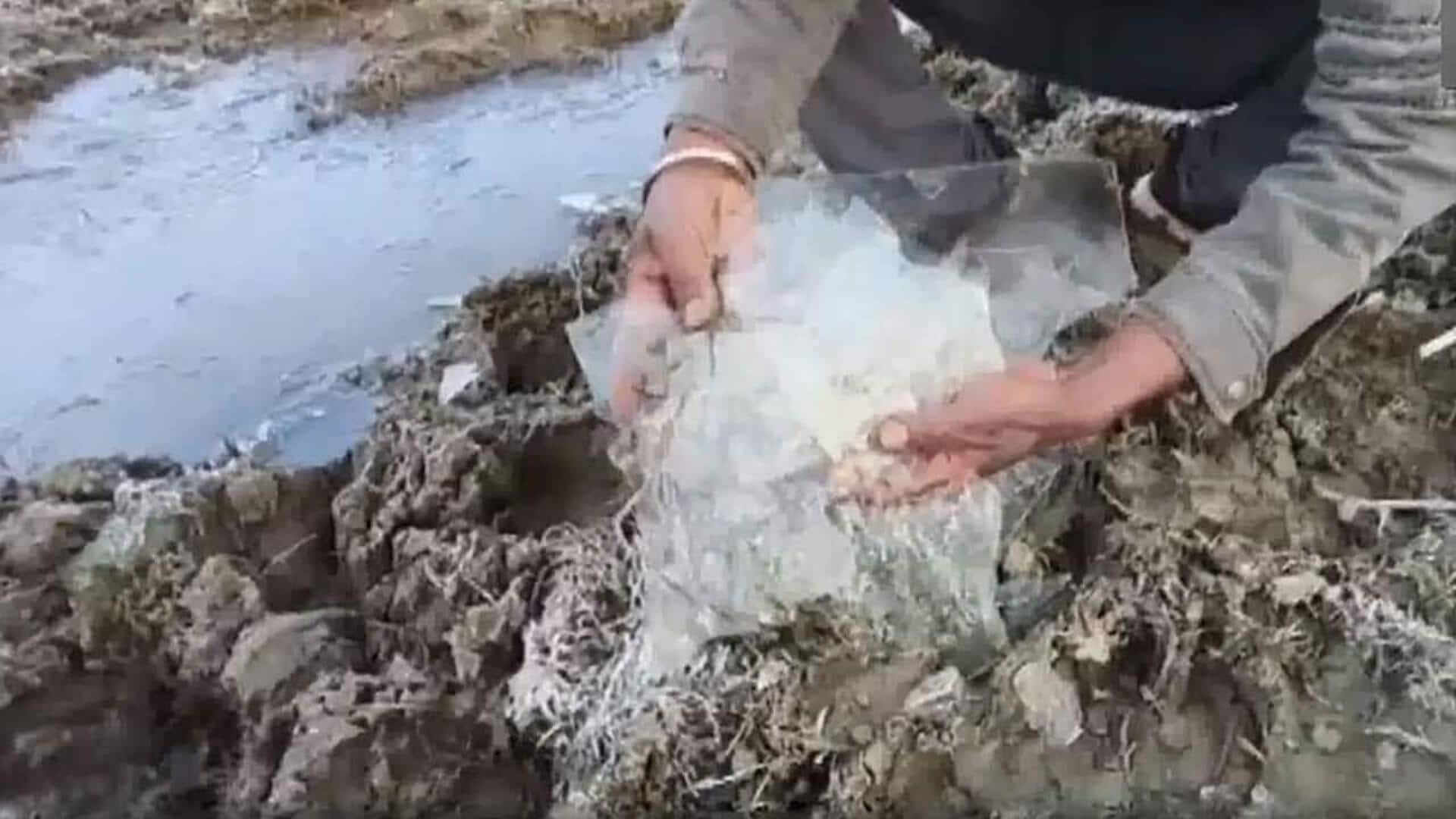 Rajasthan's Mount Abu shivers at -7°C, water bodies freeze