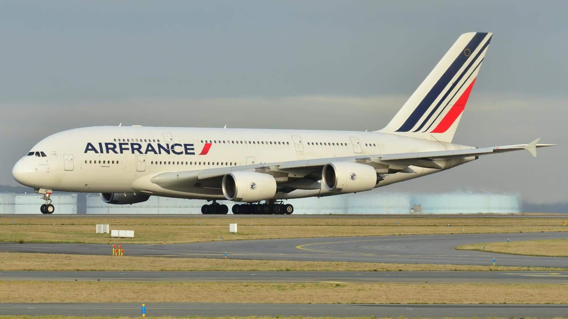 Paris airport shuts runways to search for missing dog