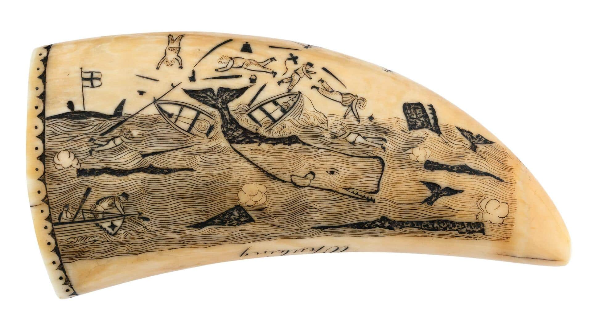 Ivory and ink: The timeless craft of scrimshaw